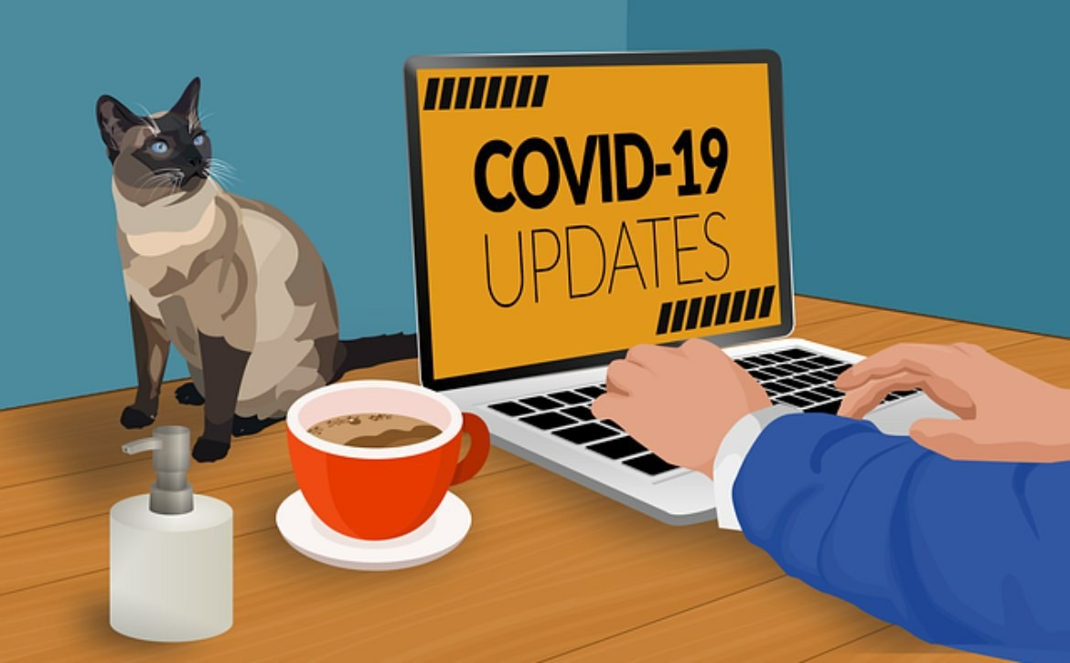 Updated data related to the COVID-19 epidemic in China - China, Epidemic, Coronavirus