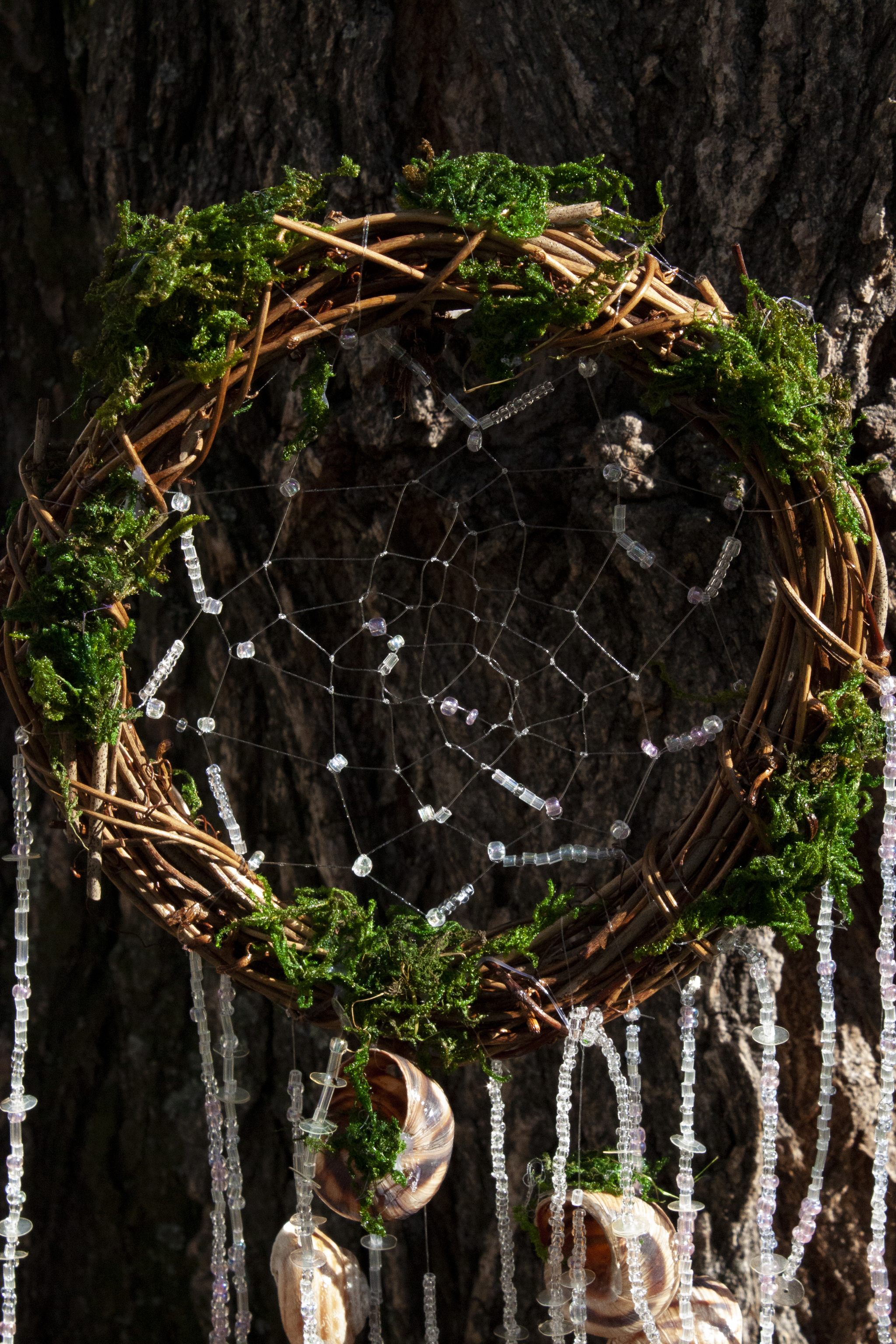 A piece of forest in a dream catcher - My, Dreamcatcher, Seashells, Needlework, Esoterics, Chersonesos, Forest, Longpost