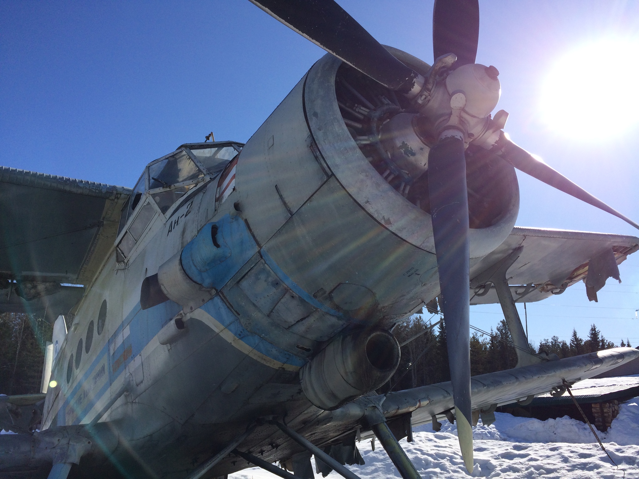 An-2 plane - My, An-2, Airplane, Longpost