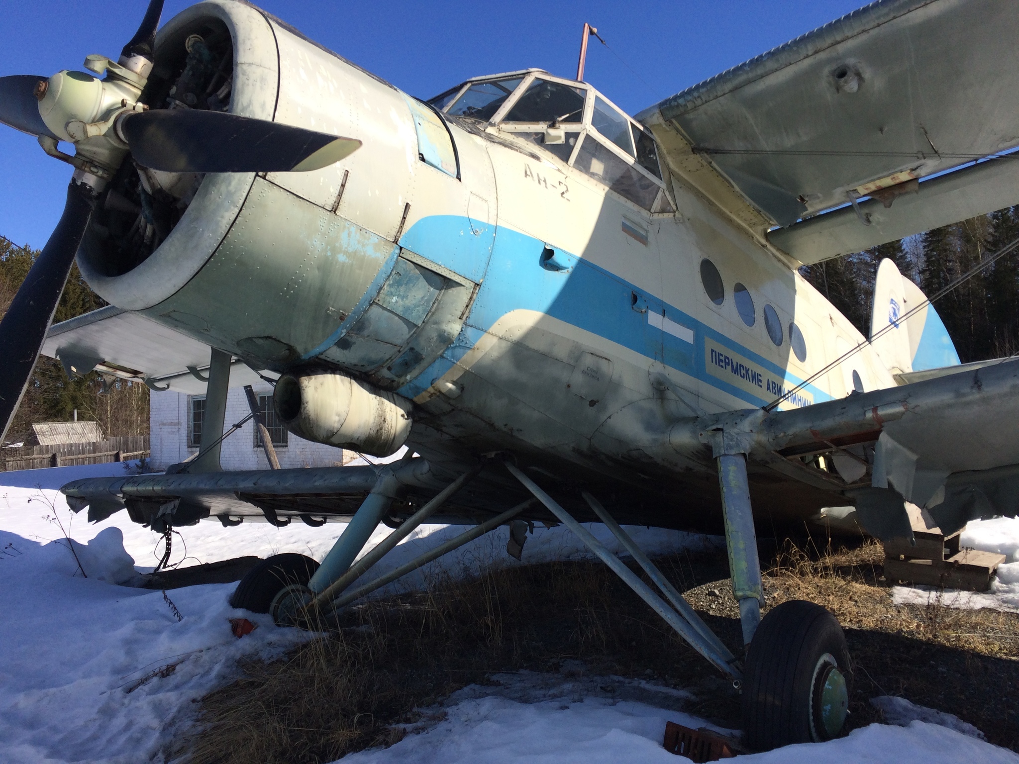 An-2 plane - My, An-2, Airplane, Longpost