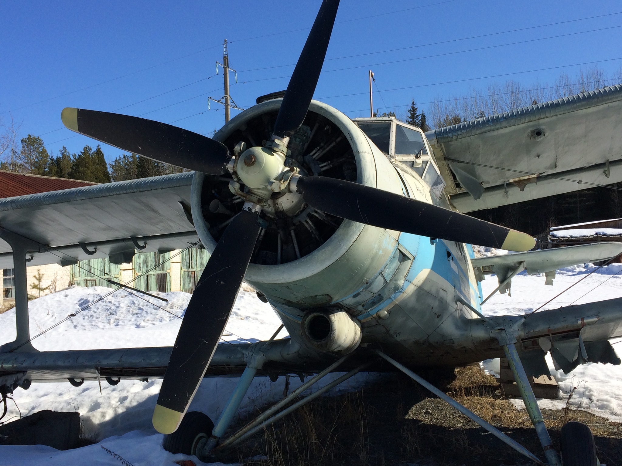 An-2 plane - My, An-2, Airplane, Longpost