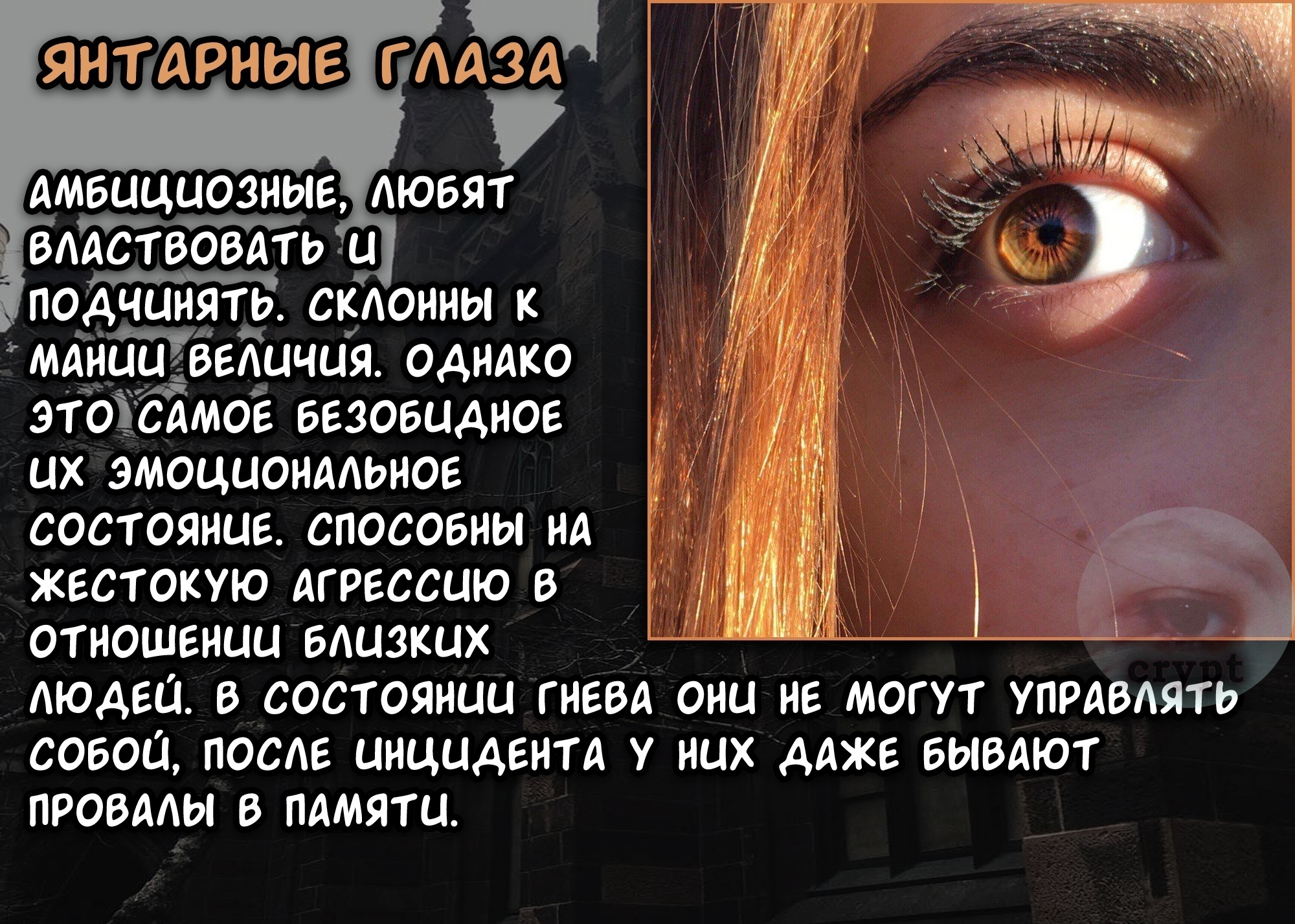Янтарные глаза характер. Янтарные глаза у девушки характер. Янтарные глаза у человека характер. Цвет глаз карие характер.