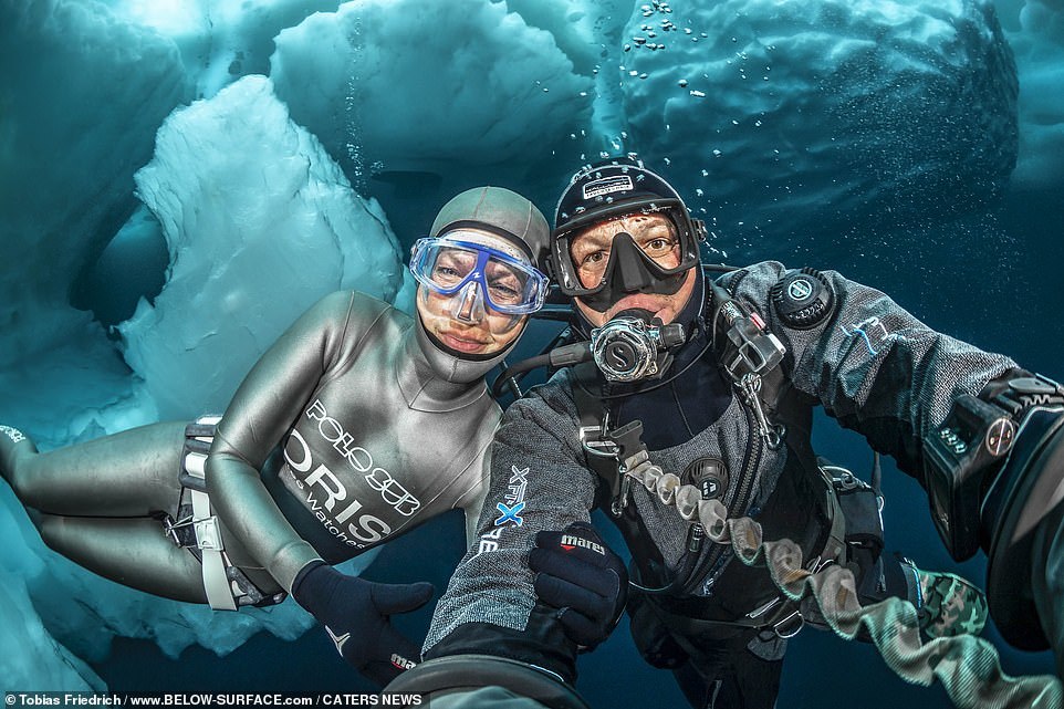 Дайверы сделали потрясающие фотографии айсбергов в Гренландии - Дайвинг, Айсберг, Фотография, Длиннопост, Фридайвинг