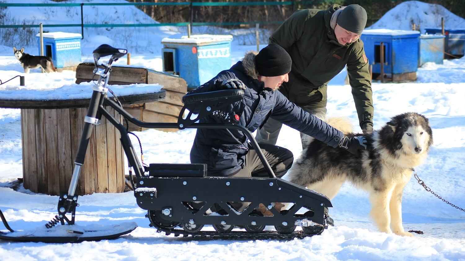 Snowbike in the sled dog village Silver of the North - My, Husky, Dog sled, Snowmobile, Snowbike, All-terrain vehicle, Video, Longpost