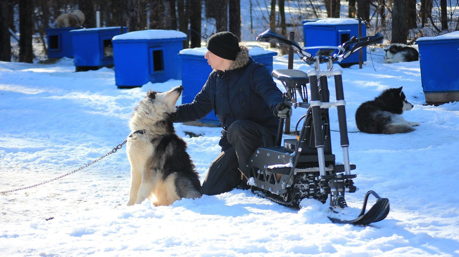 Snowbike in the sled dog village Silver of the North - My, Husky, Dog sled, Snowmobile, Snowbike, All-terrain vehicle, Video, Longpost