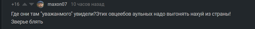 Два бревна? - Нацисты, Модератор, Плохой поступок, Зачем так жить, Негатив, Быдло, Видео, Мат, Длиннопост