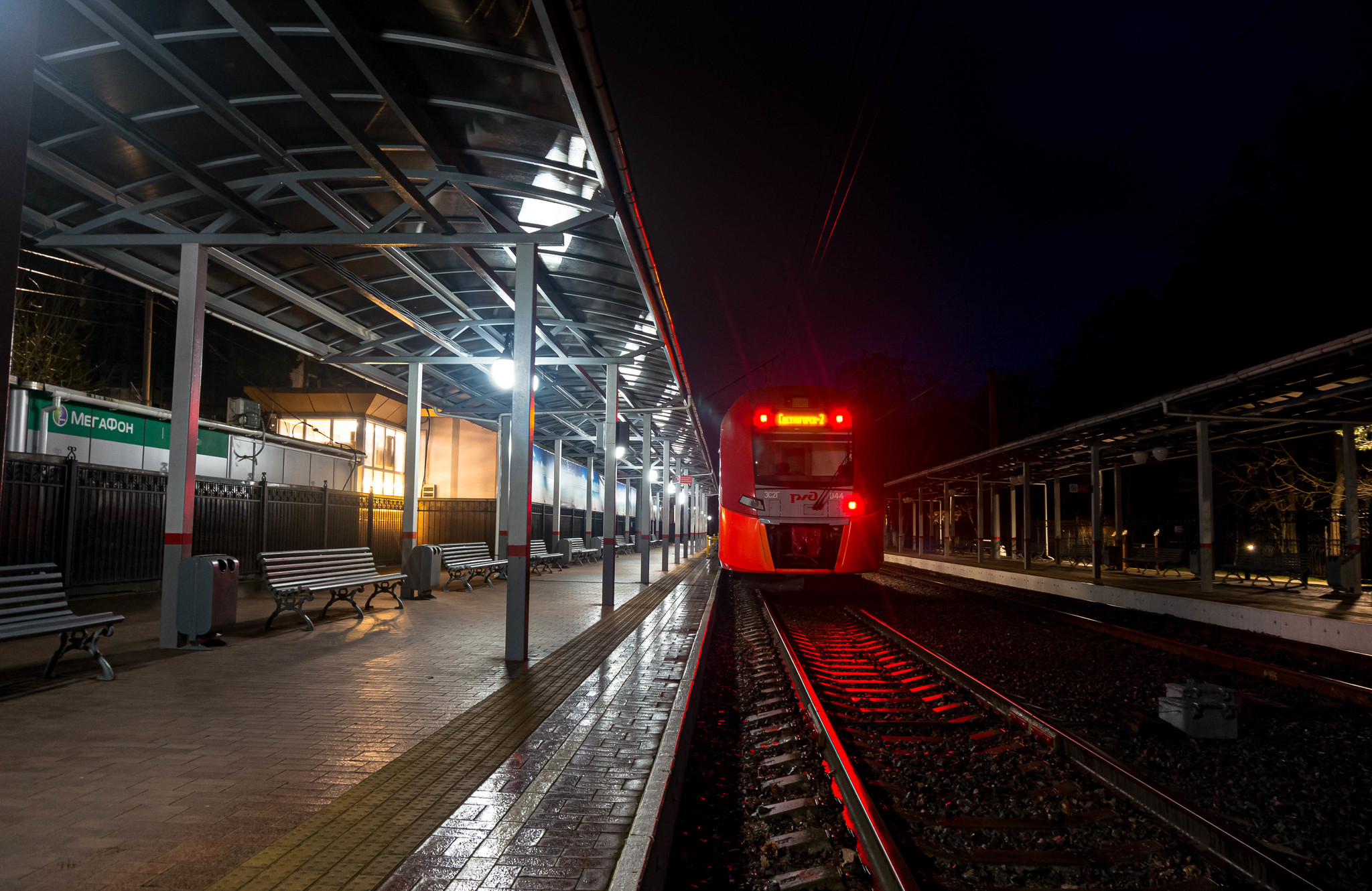 The swallow is leaving! - My, Baltic Sea, Nex5t, Kaliningrad region, Bike ride, The photo, Train, Martin, Longpost