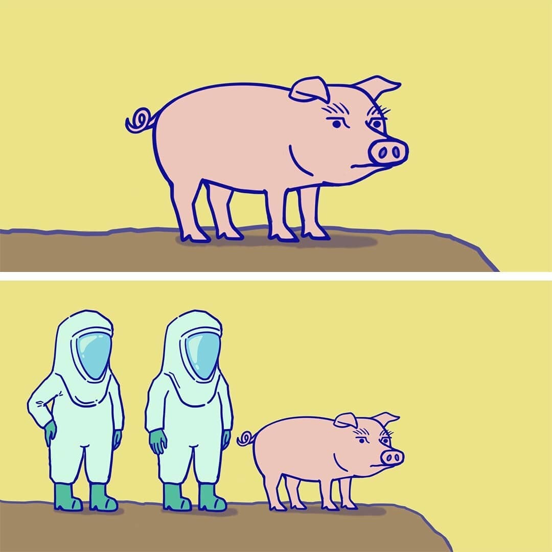 Pig - Art, Comics, Oink, Longpost