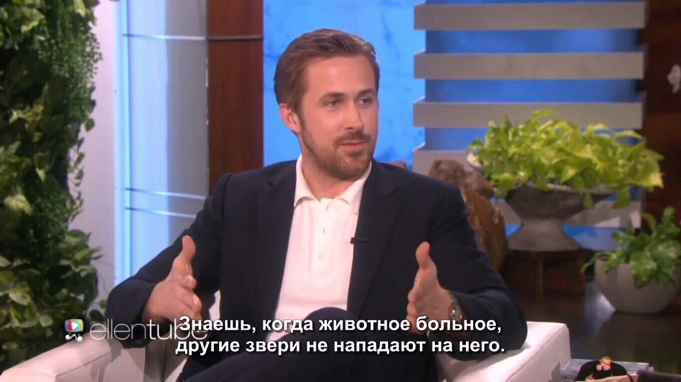 Self-irony is completely fine - Ryan Gosling, Actors and actresses, Celebrities, Storyboard, Interview, Graffiti, Longpost, The Ellen DeGeneres Show, Ellen DeGeneres