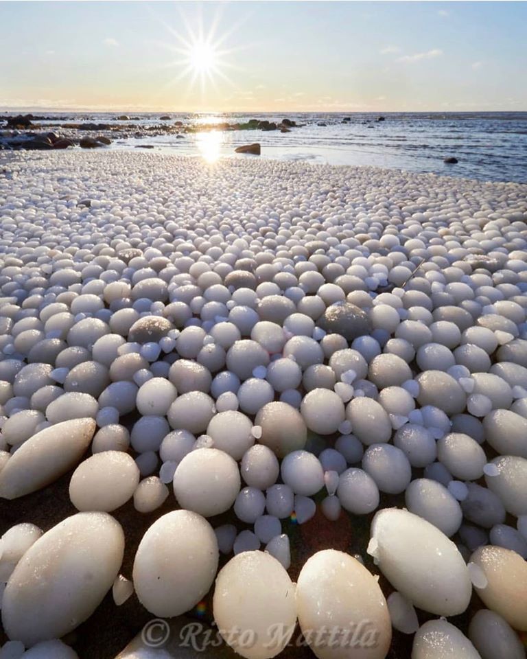 Ice Eggs - Eggs, Ice, Coast, Sea, Natural phenomena