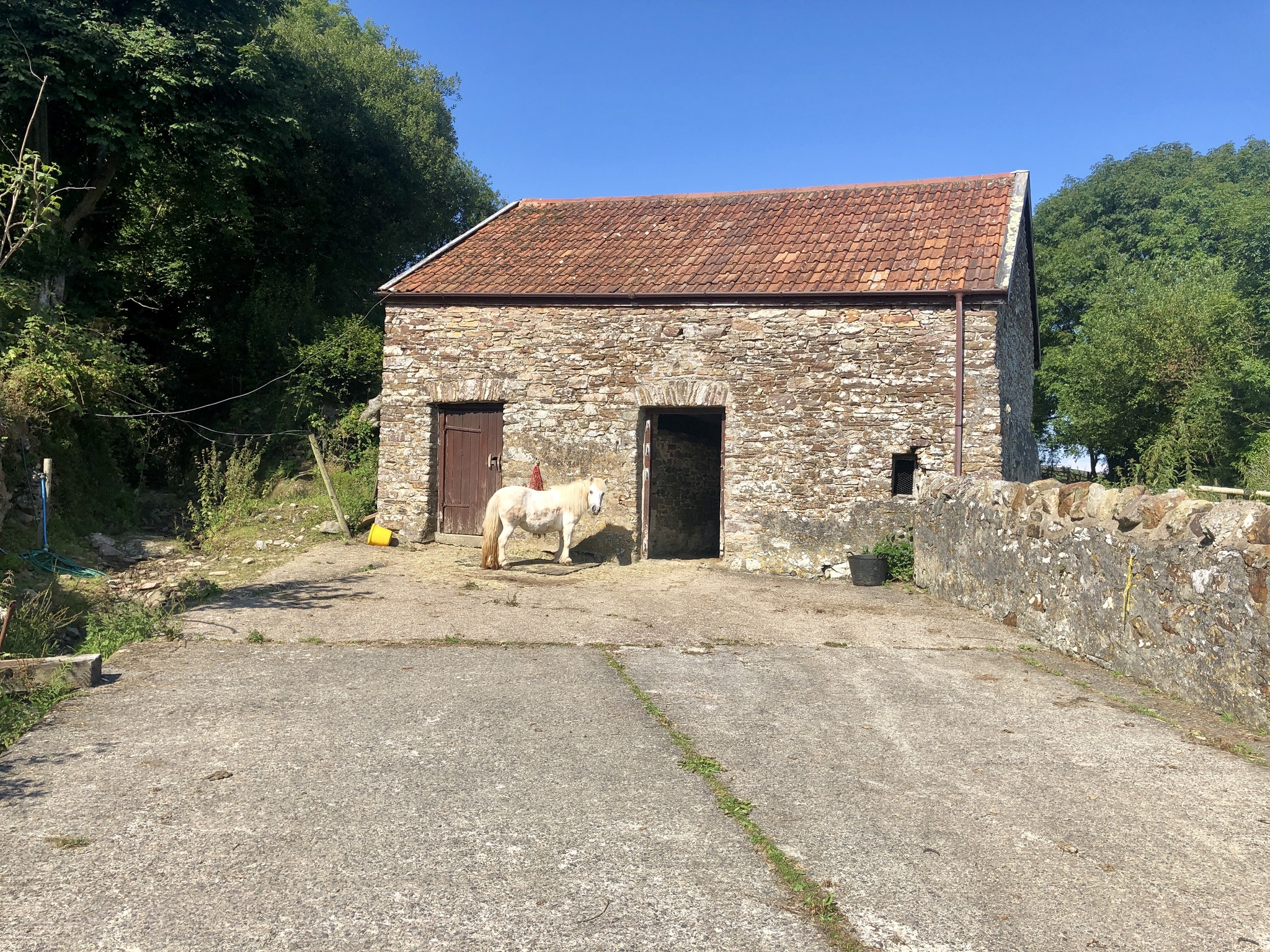 Walk through Heddon Valley, North Devon, England (part 2) - My, Great Britain, England, Walk, Hiking, Excursion, Mobile photography, Longpost