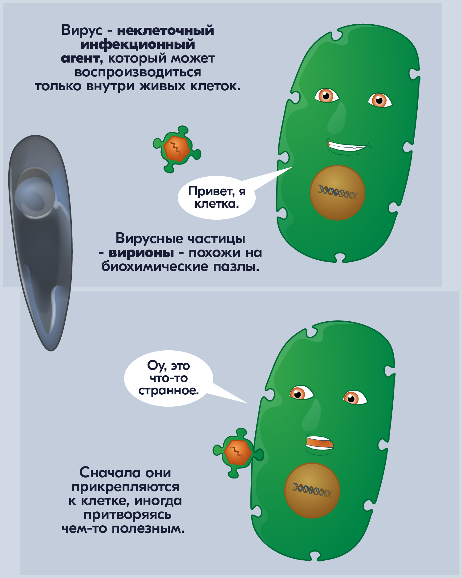 Про вирусы - Моё, Комиксы, Наука, Вирус, Коронавирус, Анахорет, Длиннопост