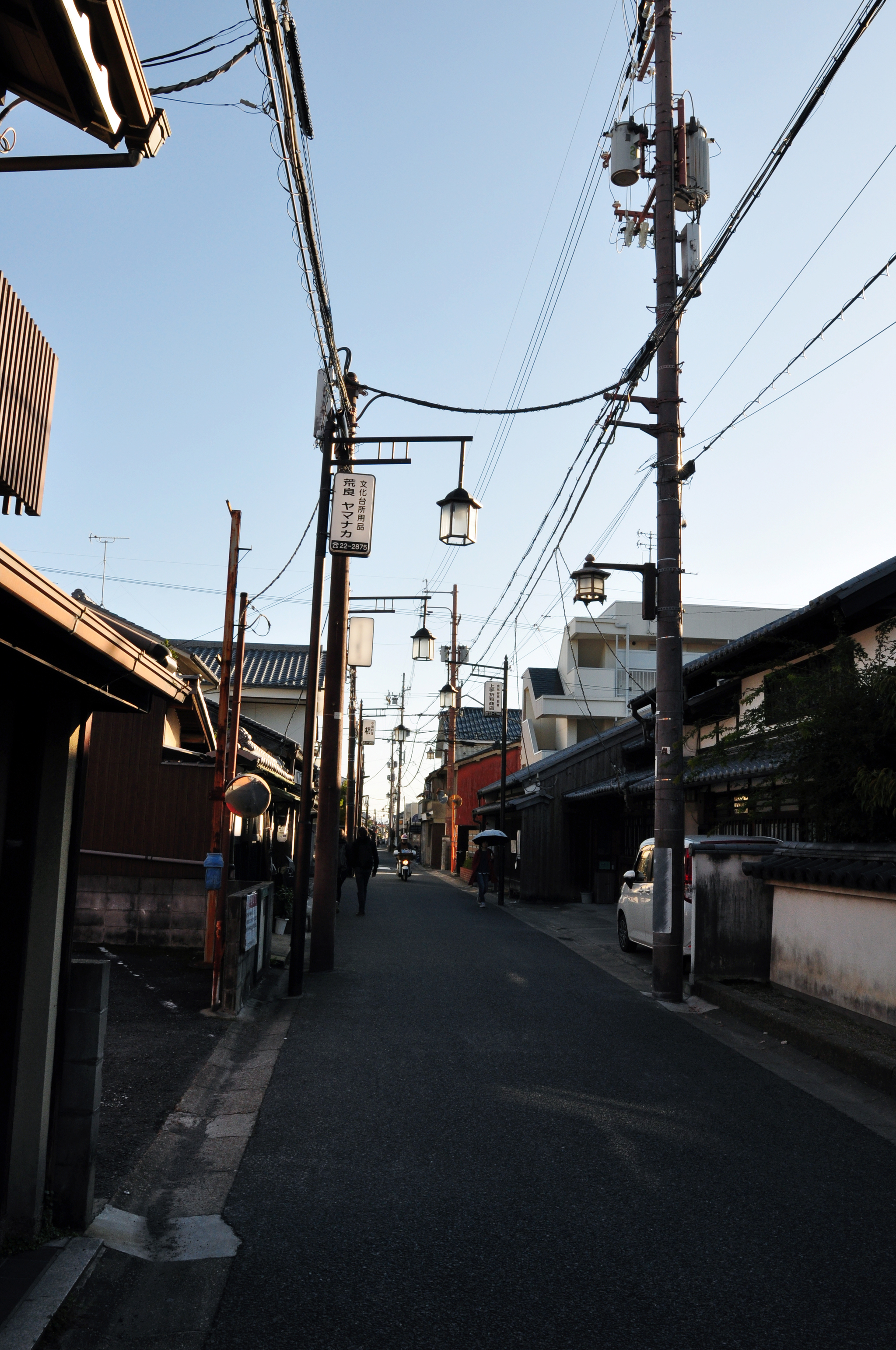 Nara Park (Nara, Japan) - My, Japan, Nara, Osaka, Deer, Fawn, The park, Longpost