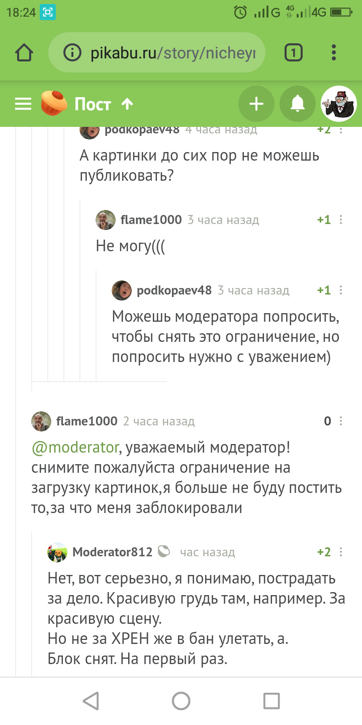 ZAKHRENVBAN - Ban, Horseradish, Longpost, Screenshot, Comments on Peekaboo