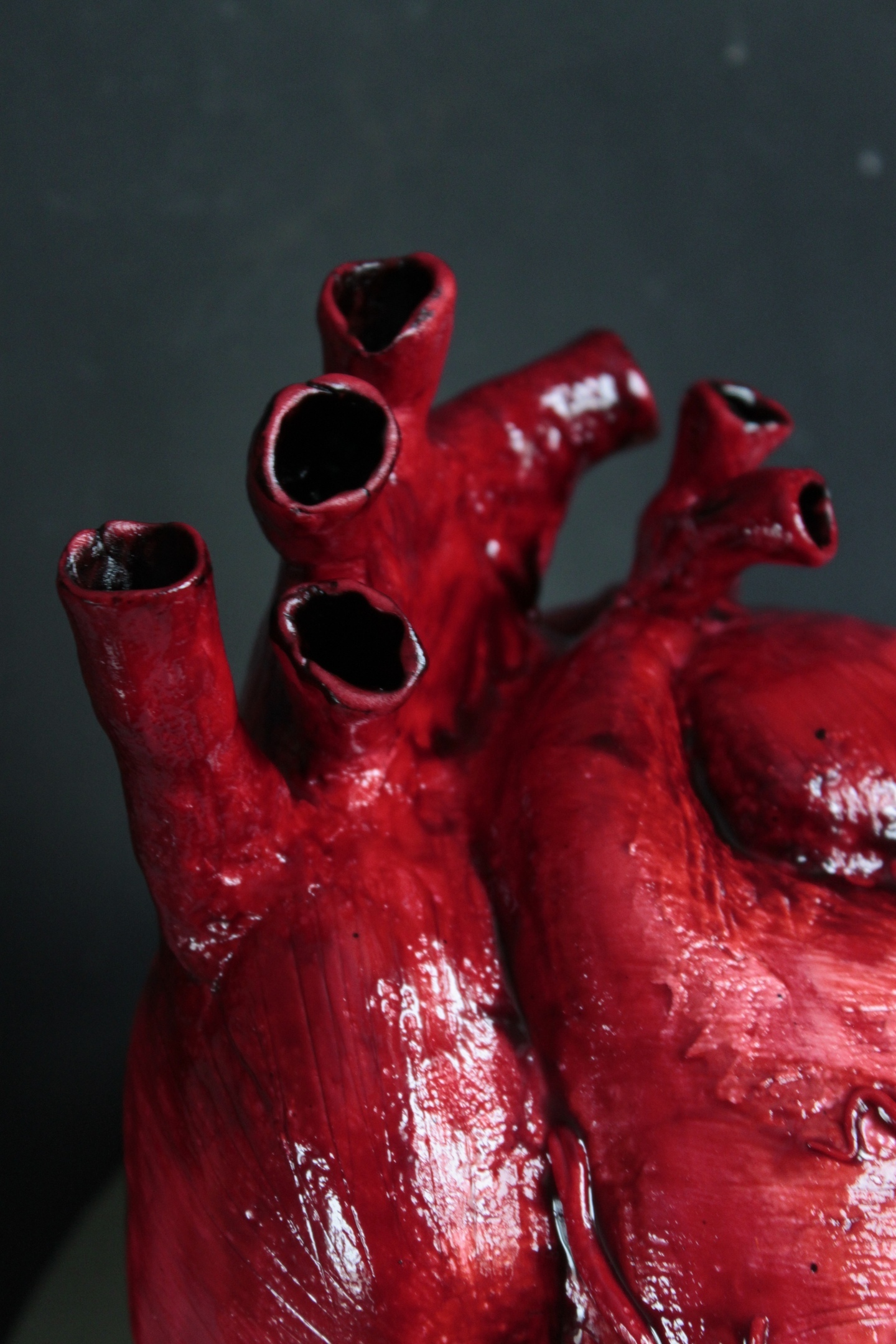 Horror cakes. Heart 3.5 kg - My, Cake, Heart, Anatomy, Horror, Creation, Darkness, Longpost