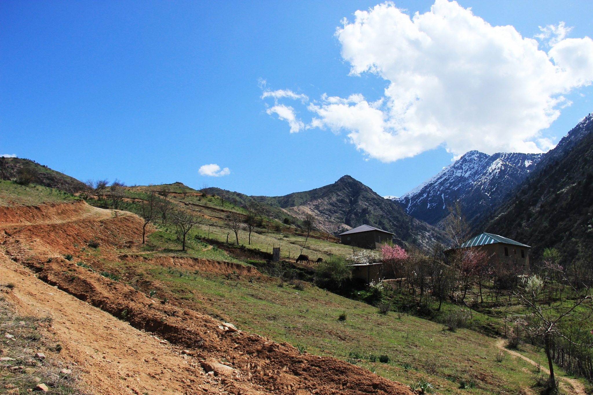 Weekend route - My, The mountains, Pass, Snow, Nature, Tajikistan, Longpost