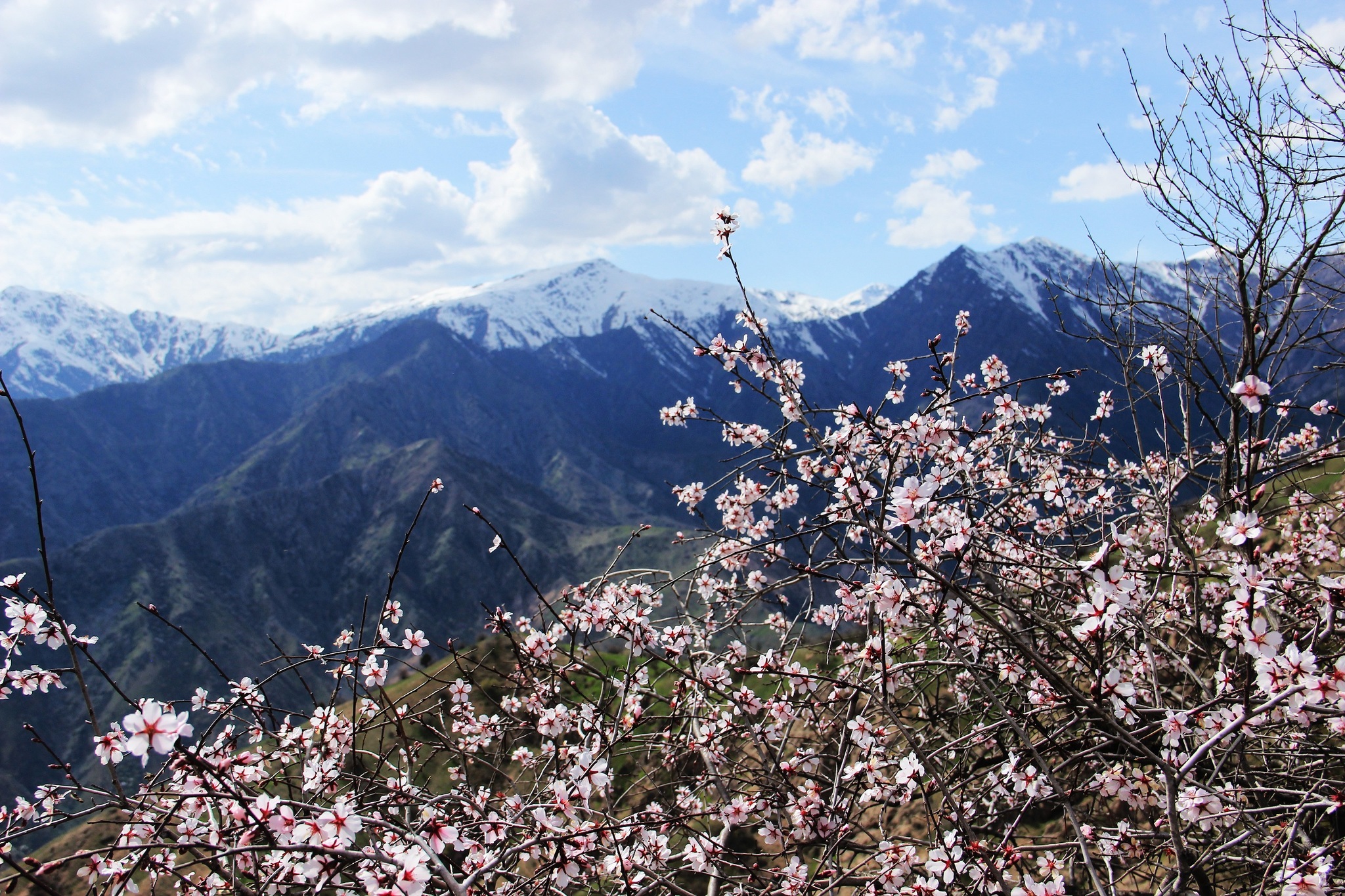 Weekend route - My, The mountains, Pass, Snow, Nature, Tajikistan, Longpost