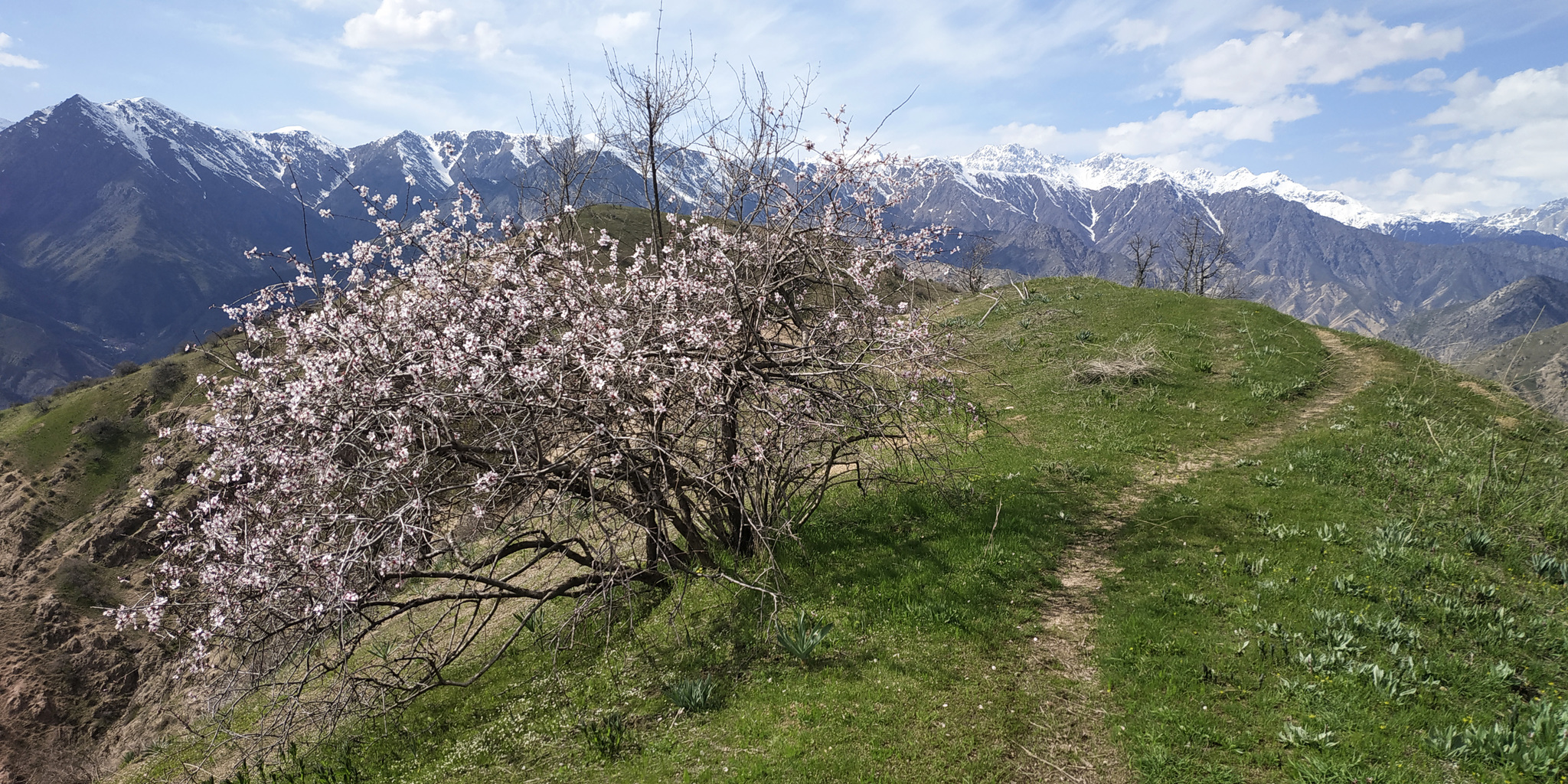 Weekend route - My, The mountains, Pass, Snow, Nature, Tajikistan, Longpost