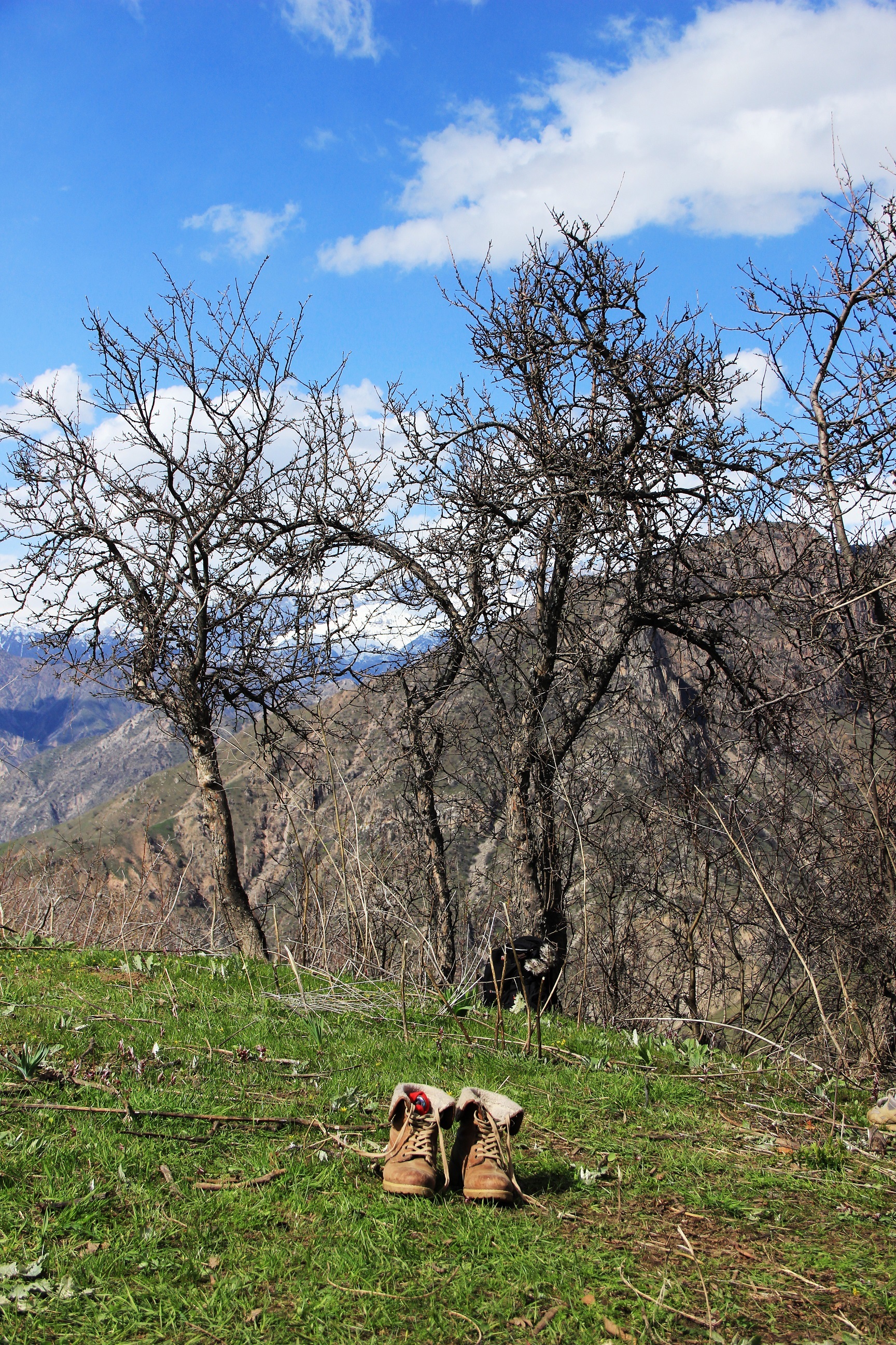 Weekend route - My, The mountains, Pass, Snow, Nature, Tajikistan, Longpost