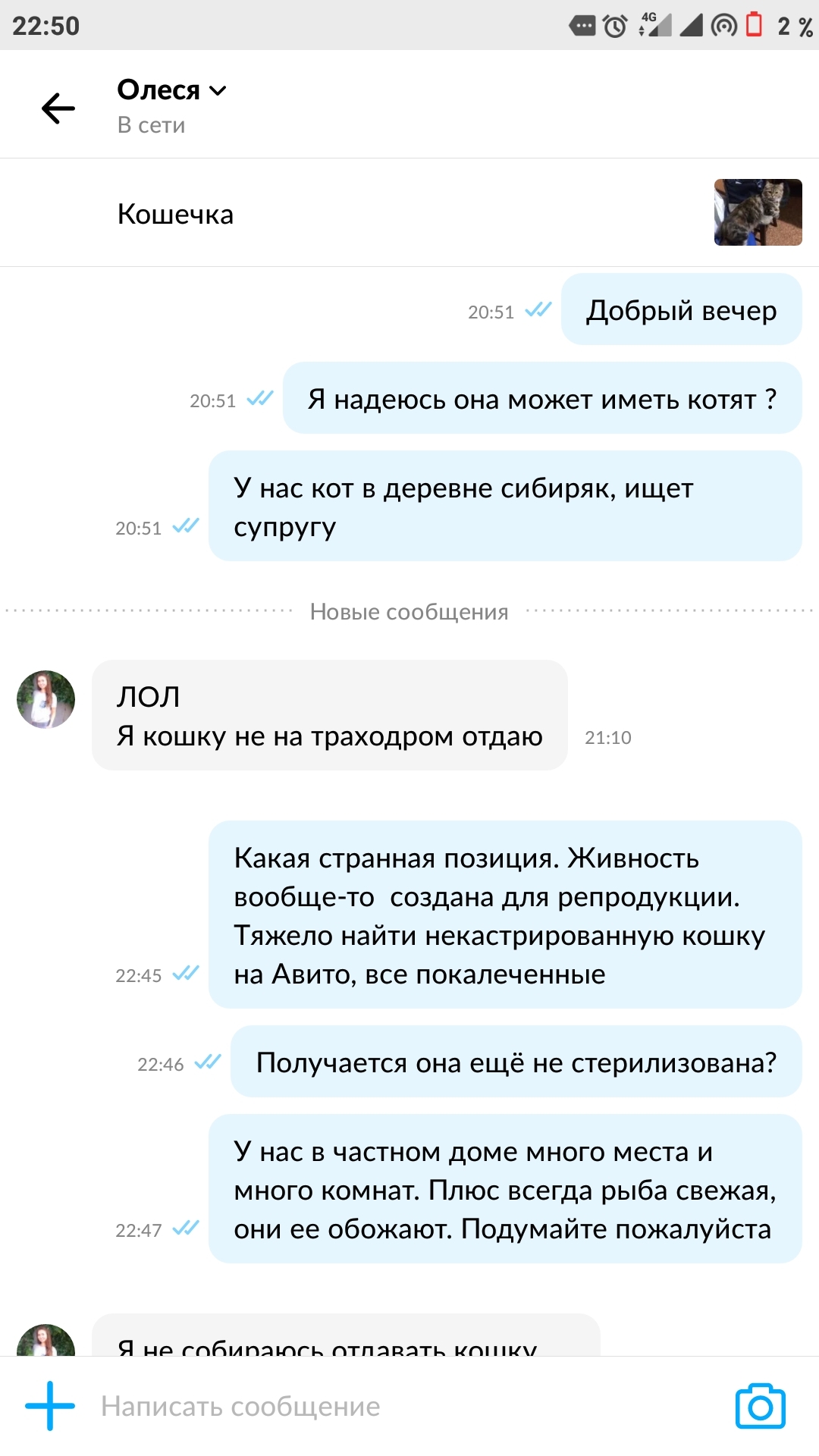 На траходром не отдаю... - Авито, Кот, Траходром, Длиннопост, Размножение, Странности