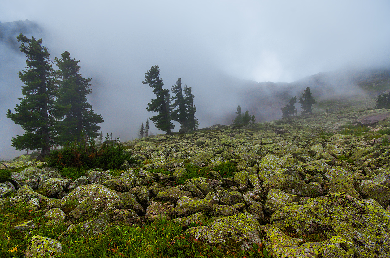 Let's go to fabulous Ergaki - My, Ergaki, Holidays in Russia, Leisure, Wild tourism, Landscape, The mountains, The photo, Longpost