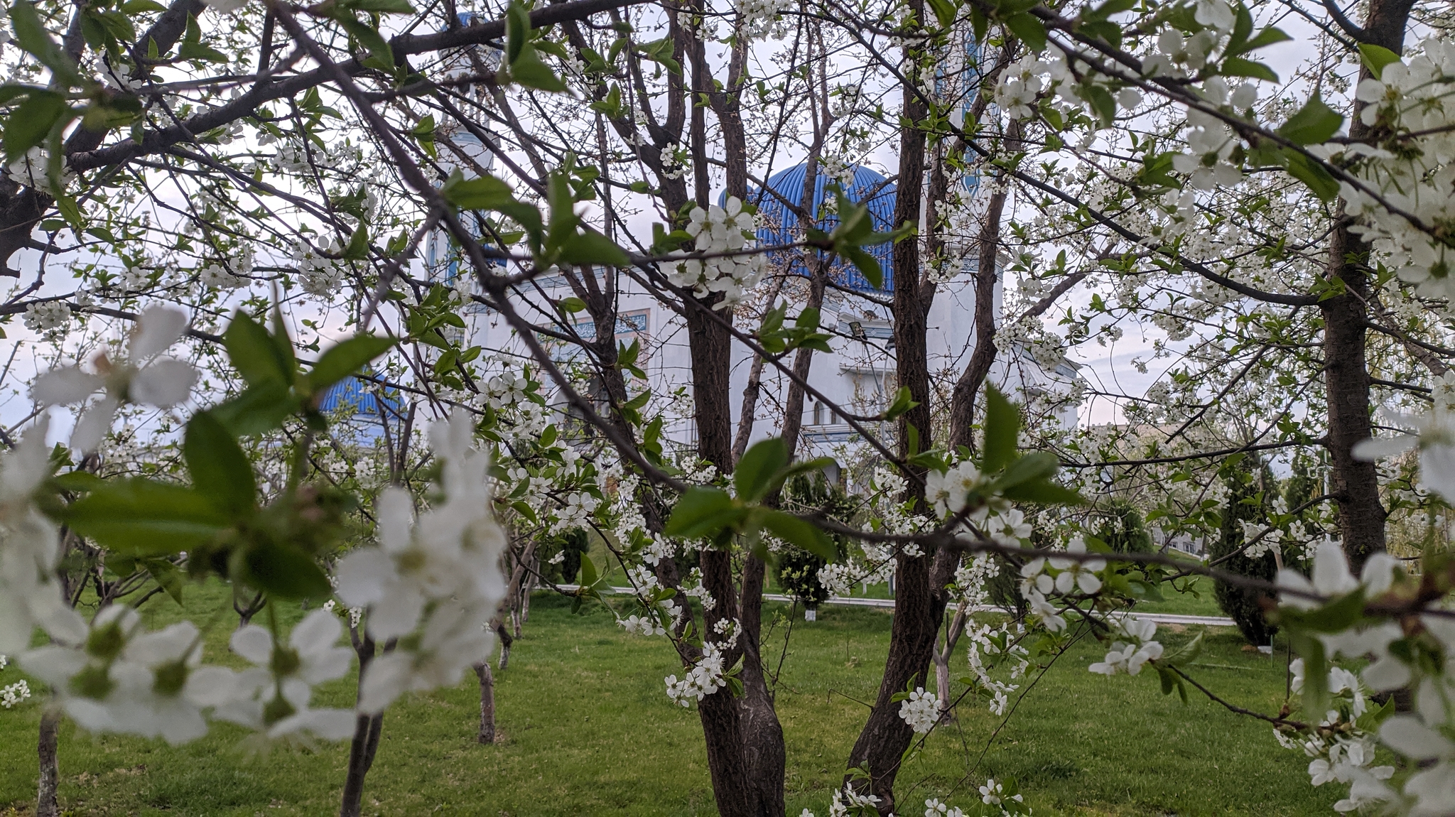 Seasons - My, Mosque, Kazakhstan, First post, Longpost