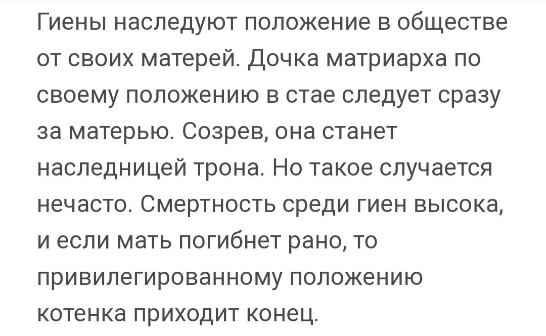 Пятнистая гиена: несчастья материнства - Гиена, Пятнистая Гиена, Материнство, Детеныш, Познавательно, Длиннопост, Животные, Роды, Картинка с текстом