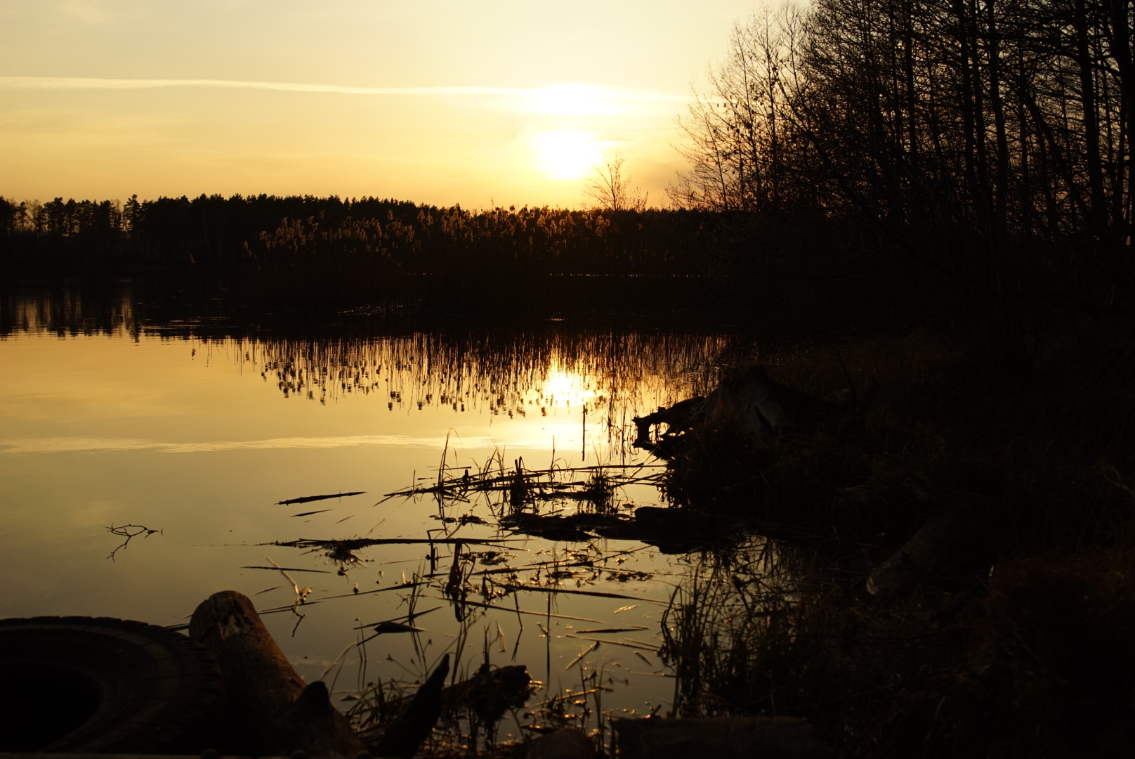 Spring sunset - My, Sunset, Moscow region, Beginning photographer, Longpost