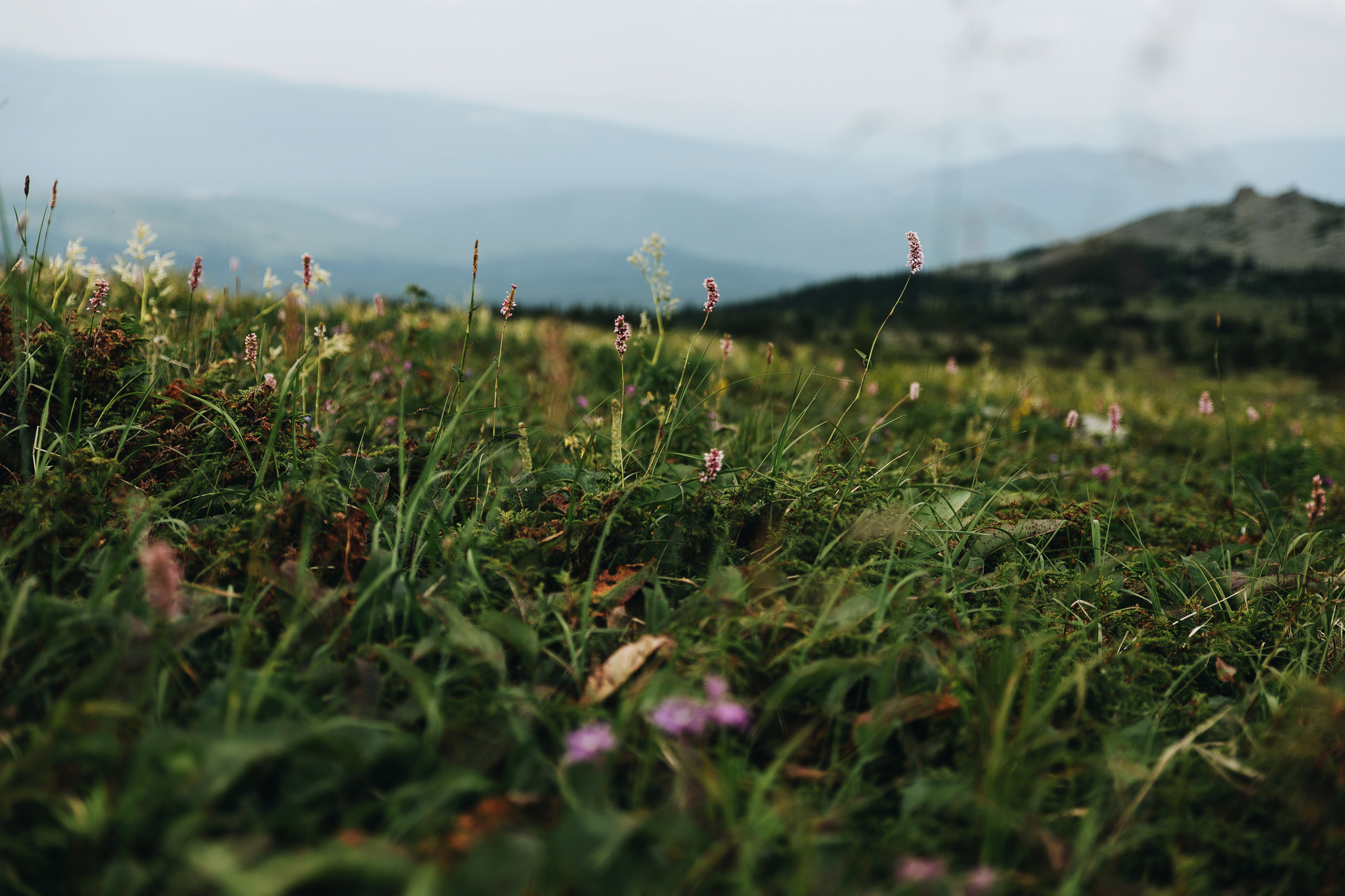 Восхождение на Большой Иремель | Пикабу