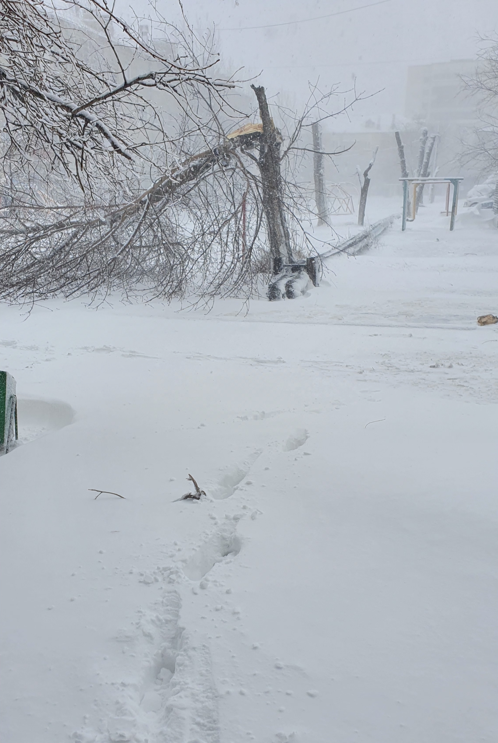 Post-apocalypse - My, Bad weather, Kazakhstan, Snowfall, Longpost