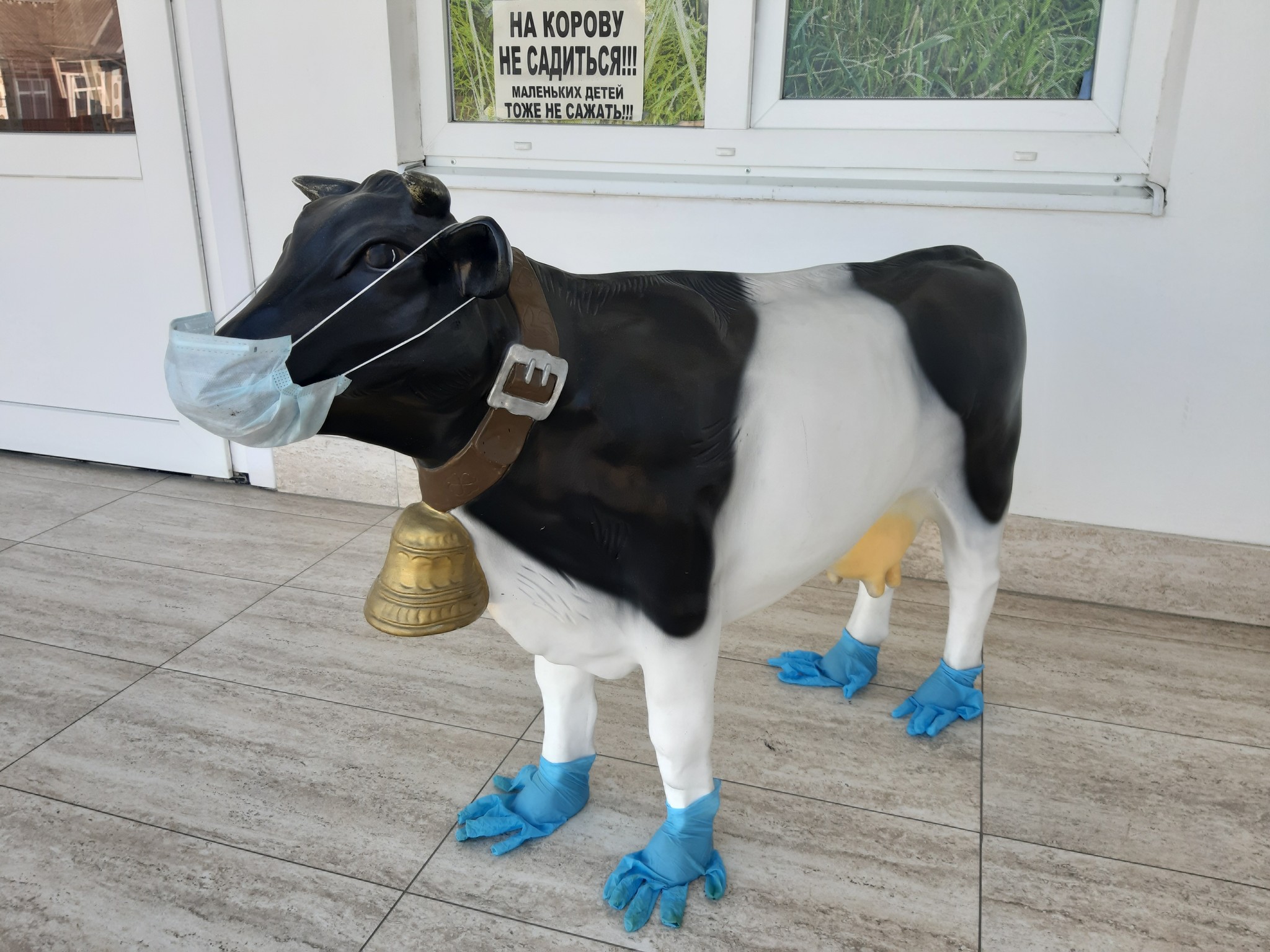 I walk past the veterinary pharmacy, and there... - Vetapteka, Cow, Strange humor, Longpost