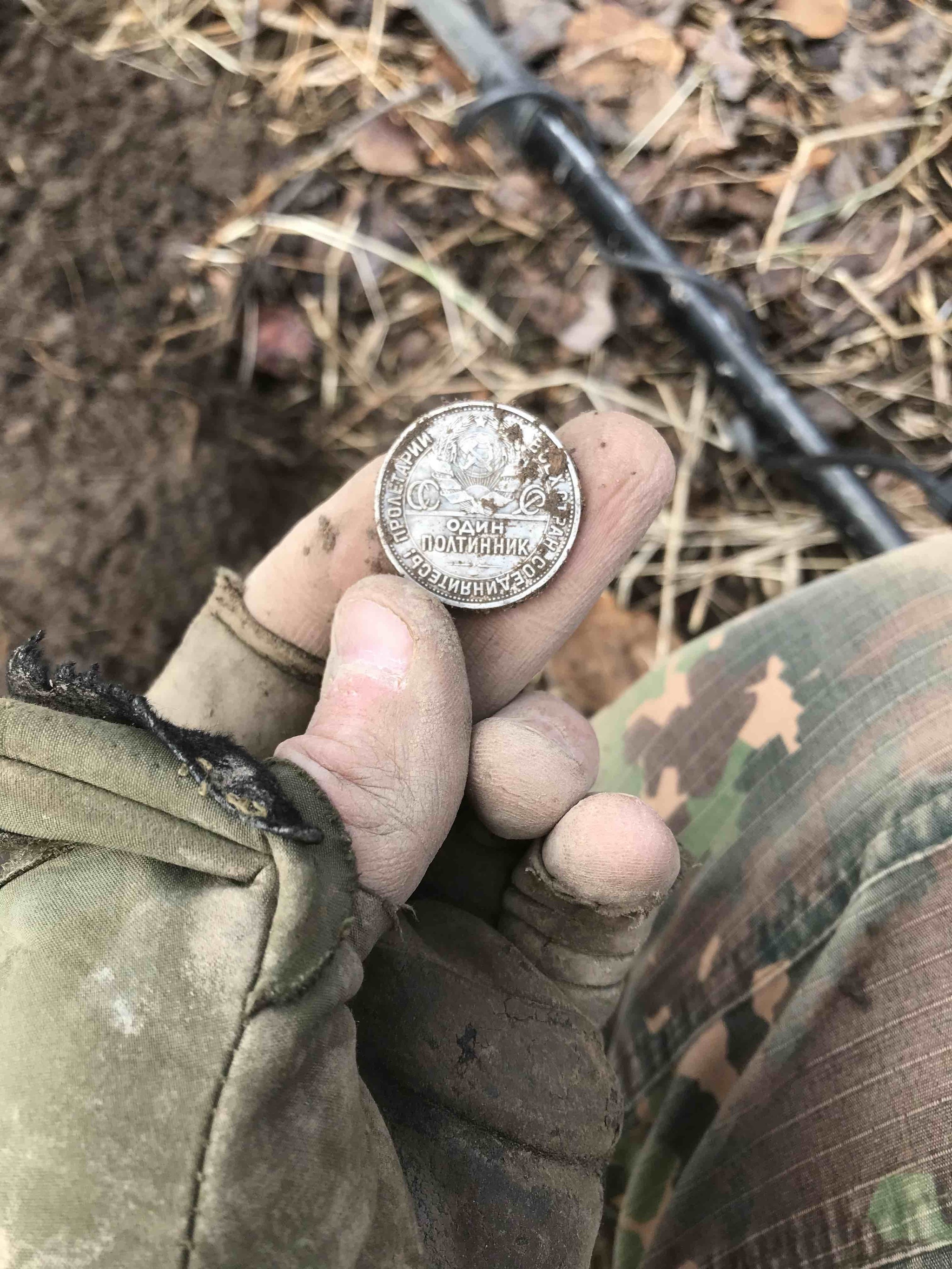 Disappeared settlement, unexpected finds! A pile of silver in the Abandoned Royal Village! - My, Abandoned, Abandoned villages, Treasure, Treasure hunt, Metal detector, Stalker, Video, Longpost