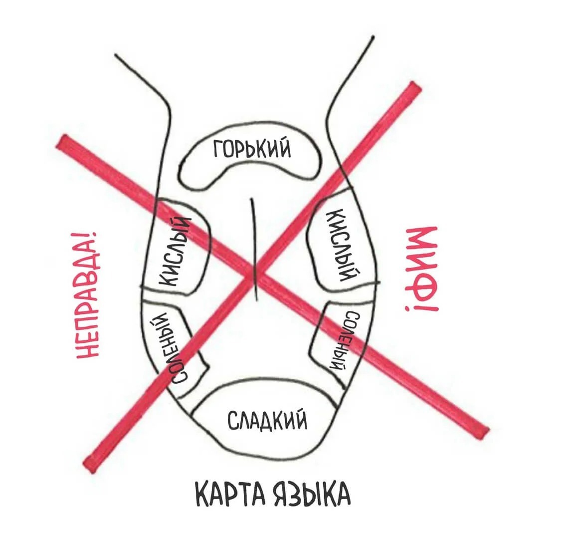 5 главных характеристик вкуса вина, которые помогут лучше его понять - Моё, Вино, Алкоголь, Хочу все знать, Длиннопост