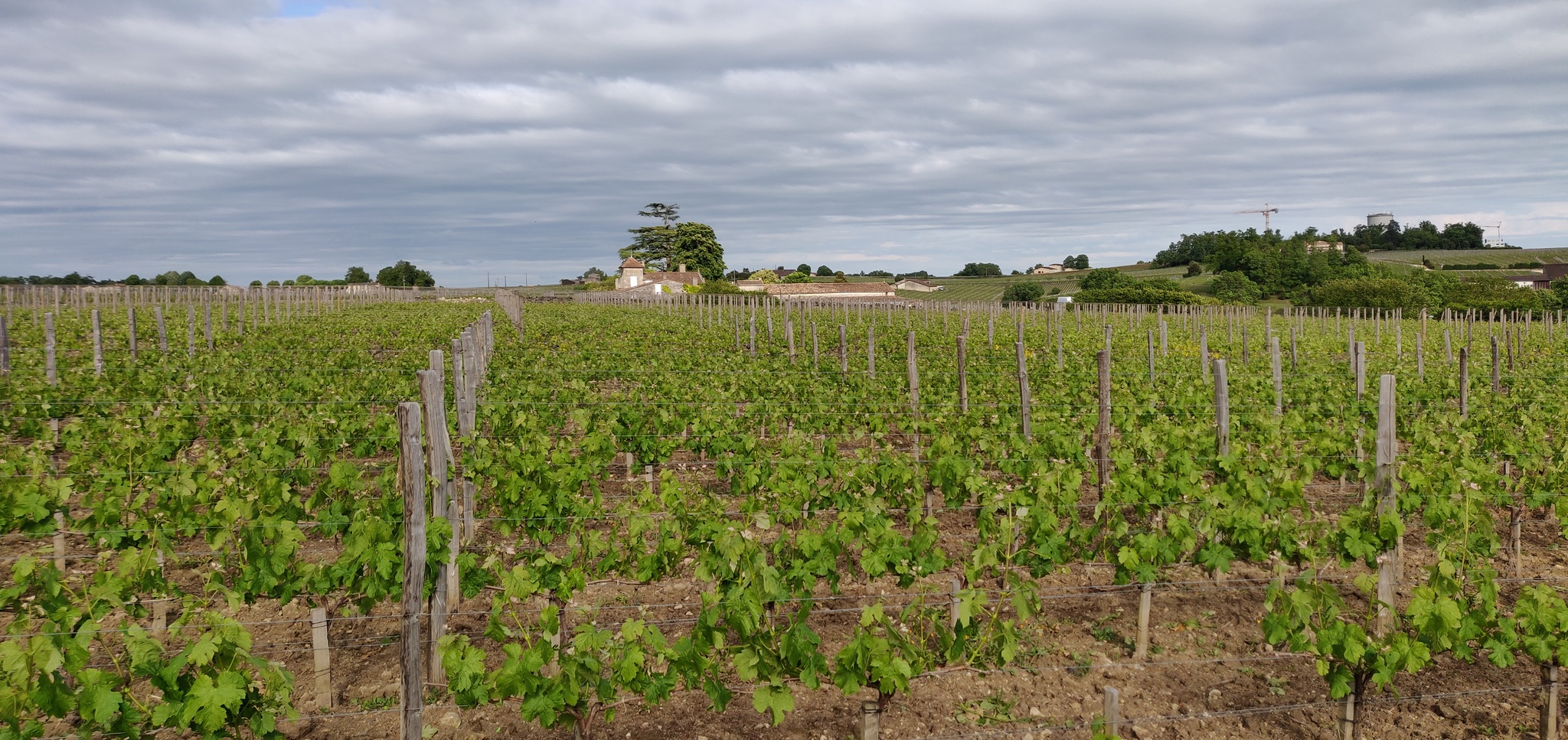 Marathon in Bordeaux - My, Marathon, Run, France, Bordeaux, Winemaking, Video, Longpost