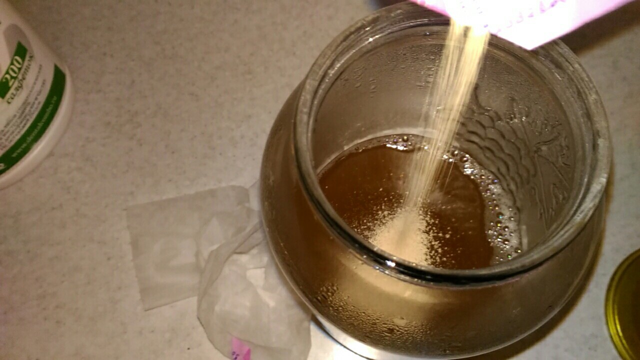 How to make a yeast starter for adding to beer wort. Quick start of fermentation and savings on yeast - My, Beer, Brewing, Yeast, Craft beer, Brewery, Longpost