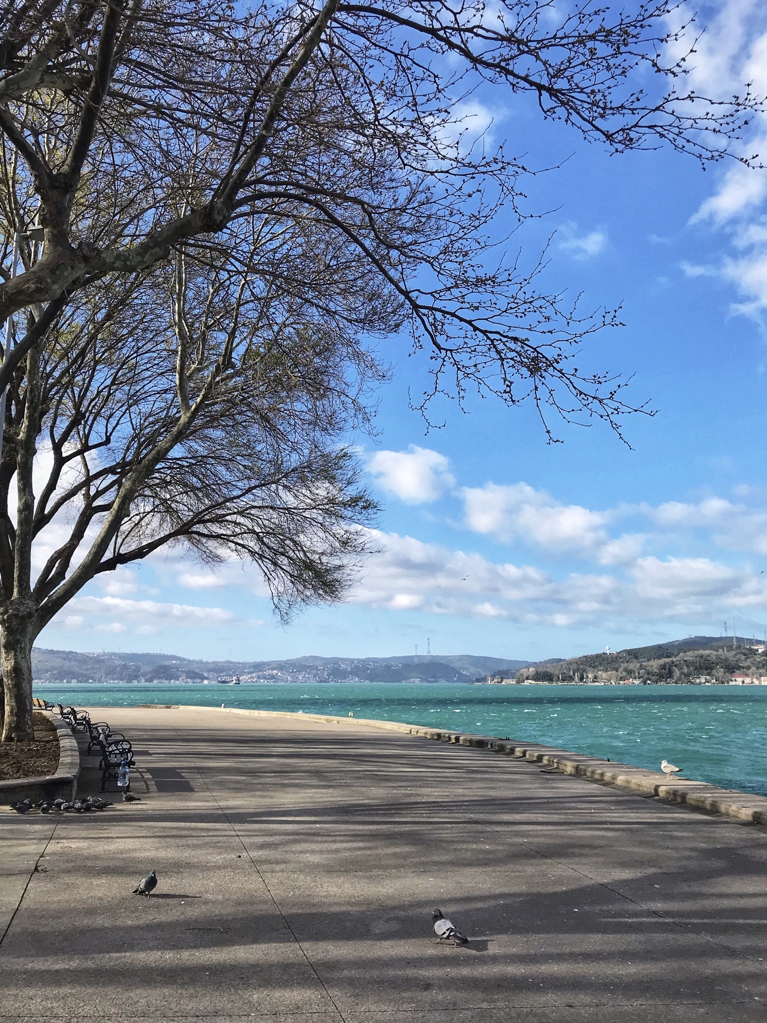 Bosphorus - My, Istanbul, Mobile photography