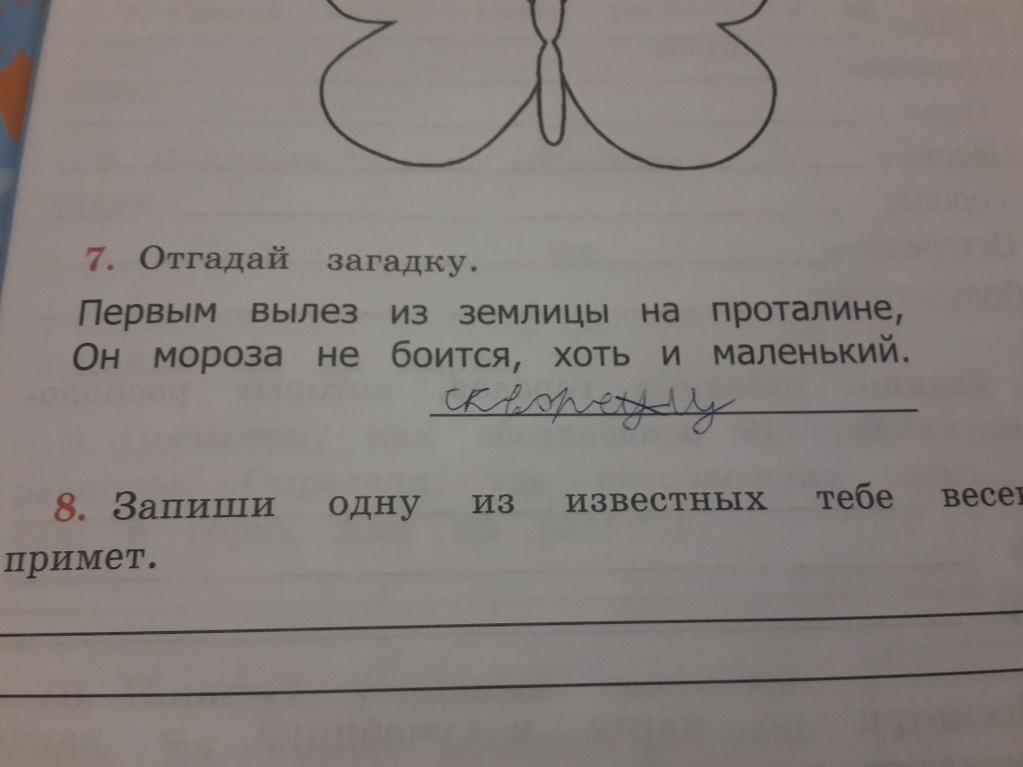 Дистанционная деградация | Пикабу