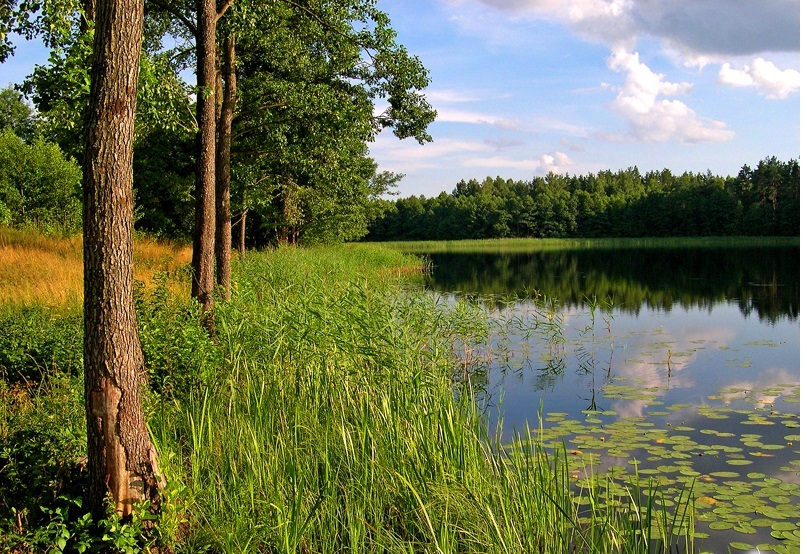 Sarochan lakes - My, Republic of Belarus, A life, Homeland