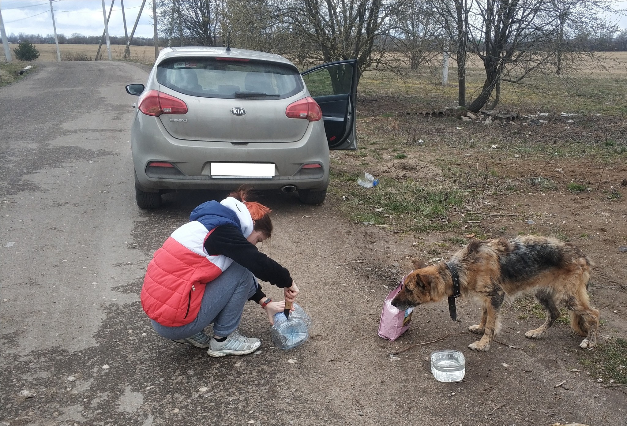 Saving Private Dog (continued) - My, Dog, German Shepherd, In good hands, Dmitrovsky District, Moscow region, Video, Longpost