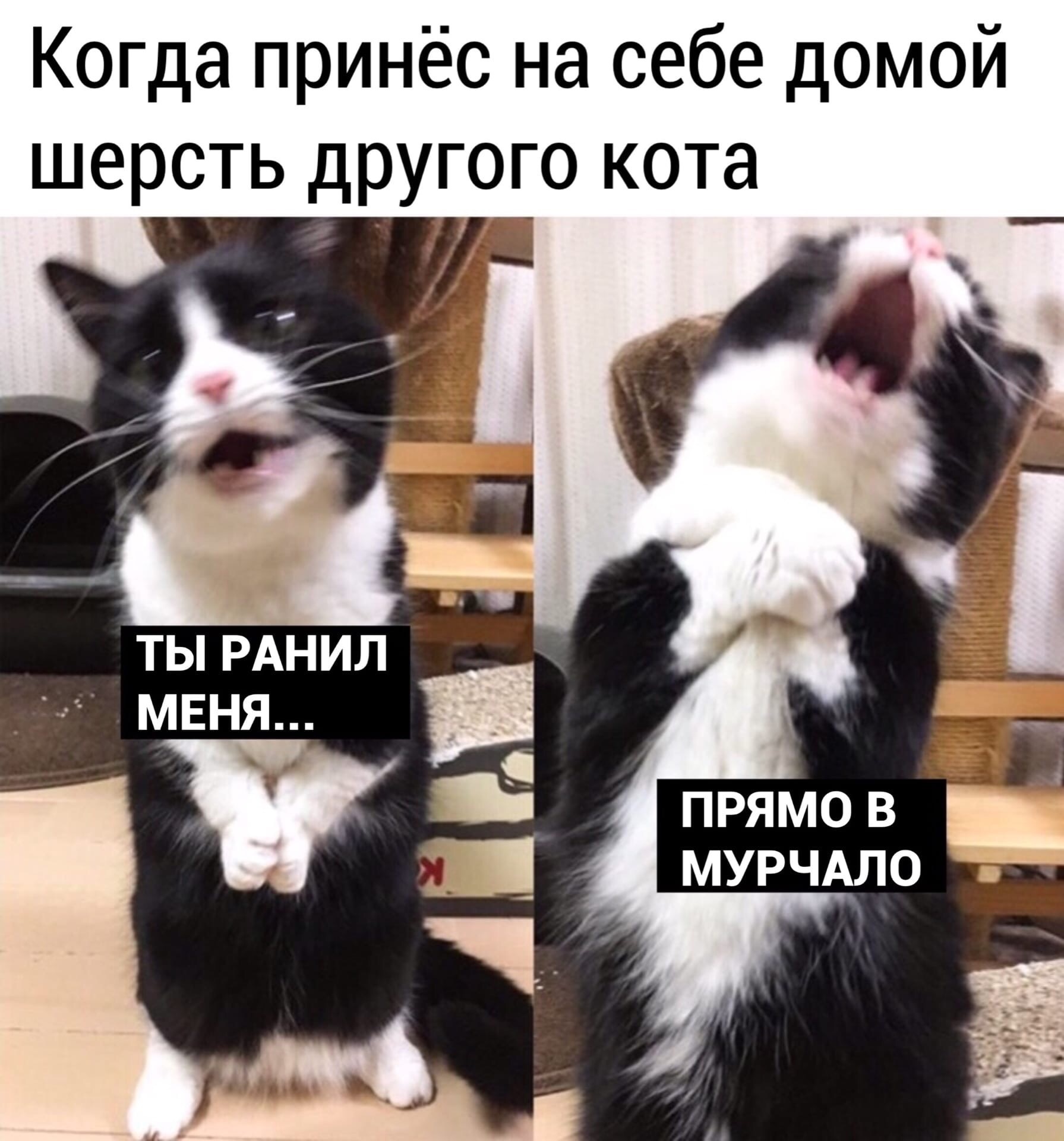 Взгляни прямо на меня