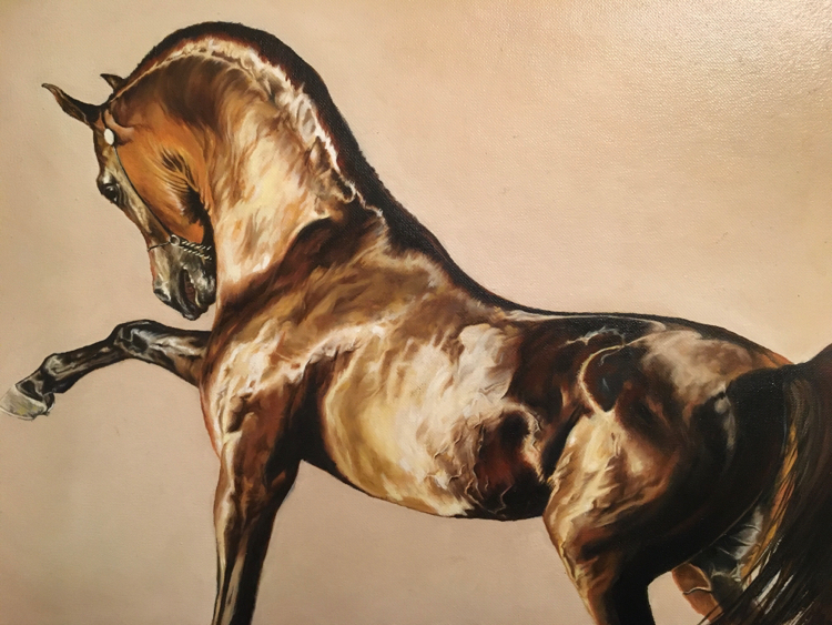 Arab - My, Horses, Art, Creation, Arabian Horse