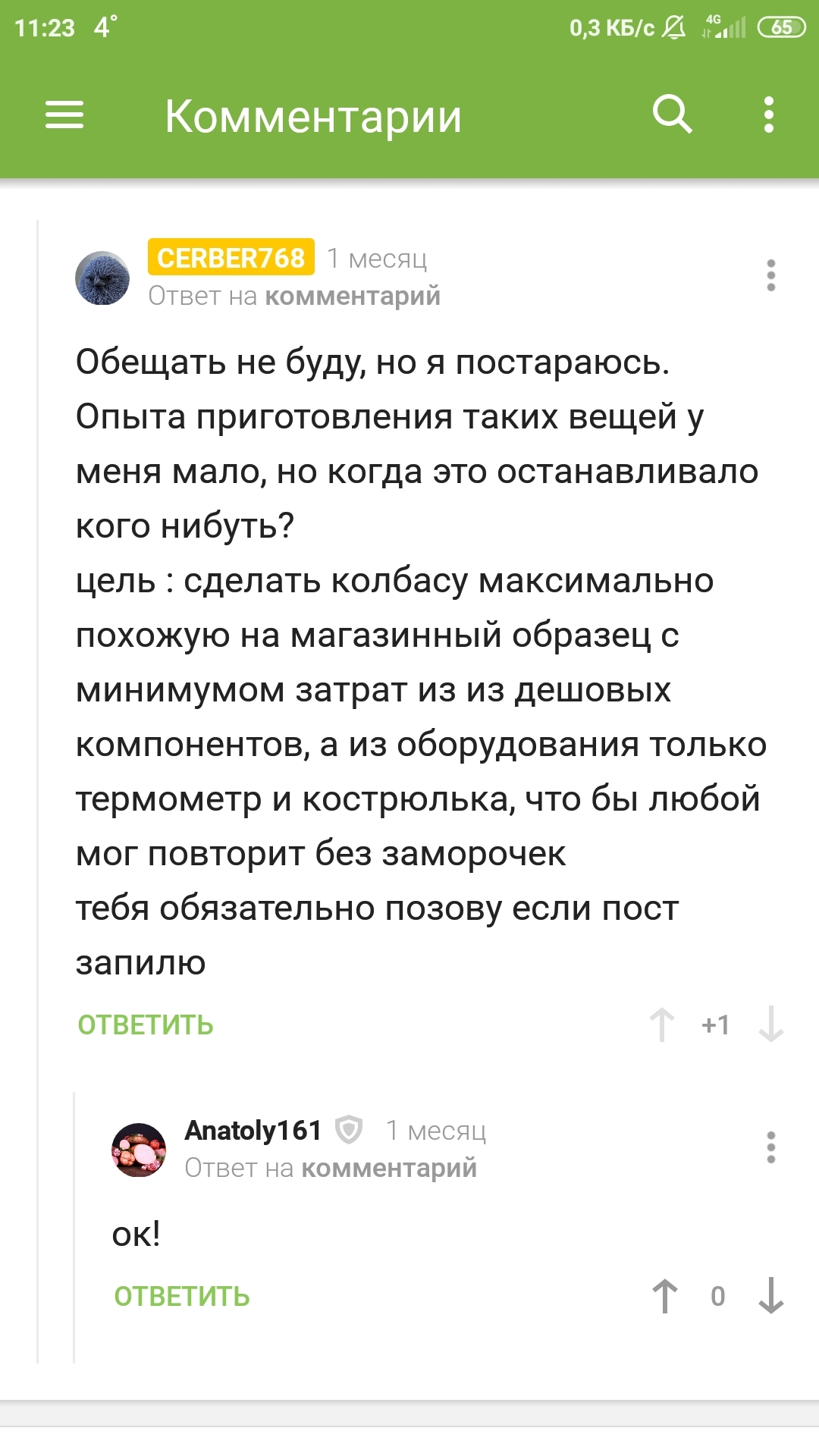 Колбаса подешману. Возможно ли? - Моё, Колбаса, Рецепт, Фарш кулинарный, Длиннопост, Кулинария