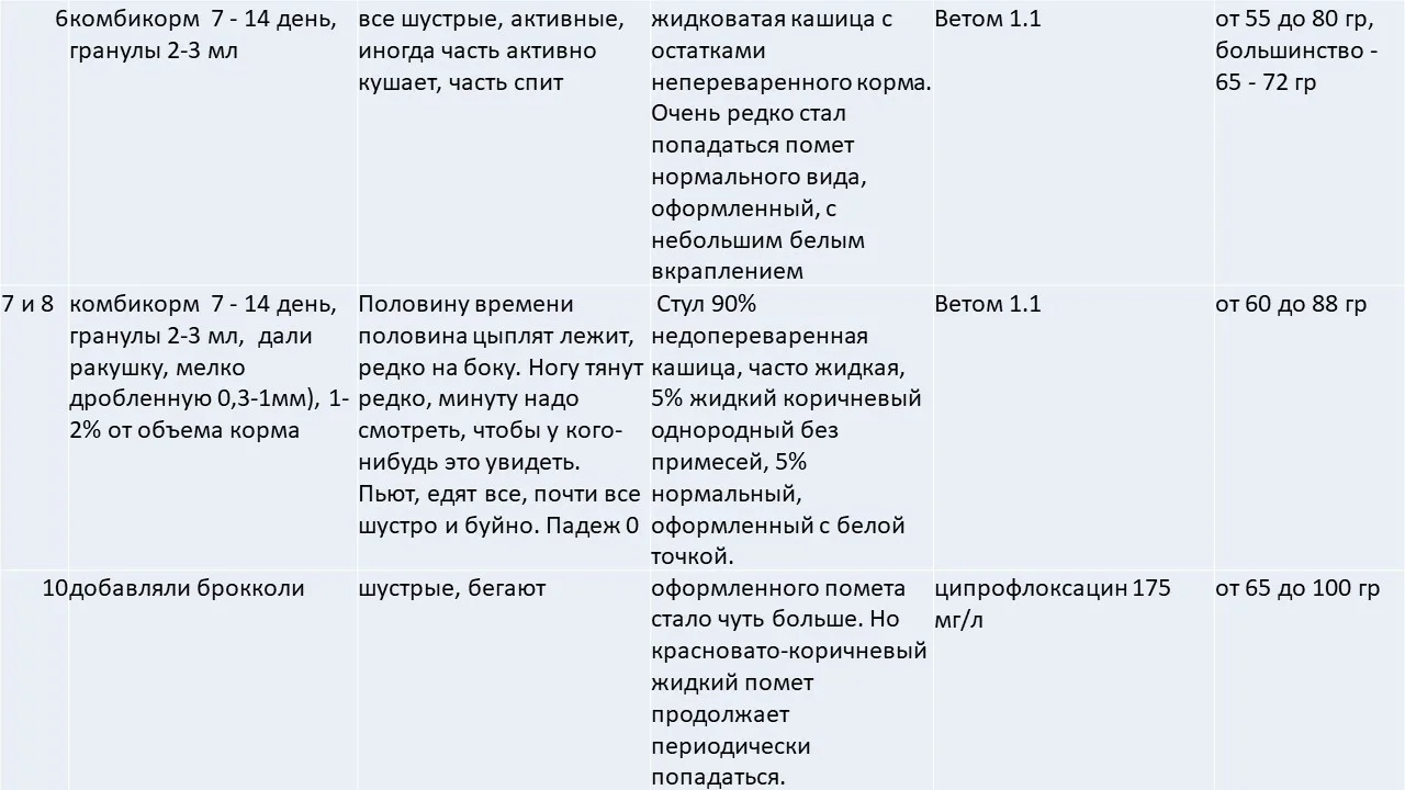 Как покупать и выращивать цыплят-бройлеров кобб 500 | Пикабу