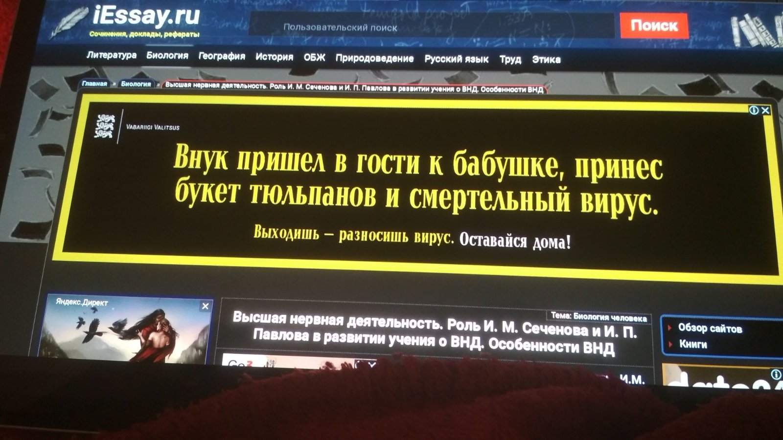 Креатив от государства - Моё, Коронавирус, Дистанционное обучение, Эстония