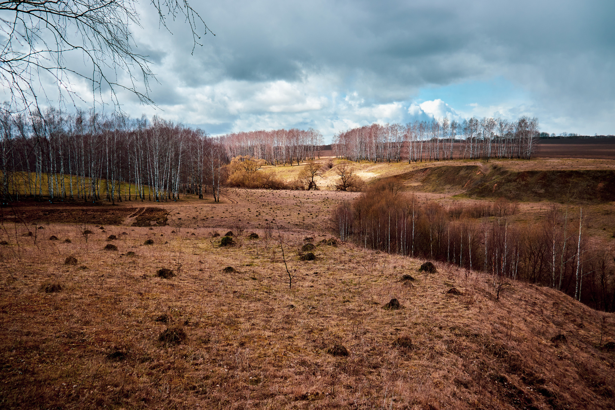 Tula region - My, Nature, Tula region, River, The nature of Russia, Picturesque, Longpost