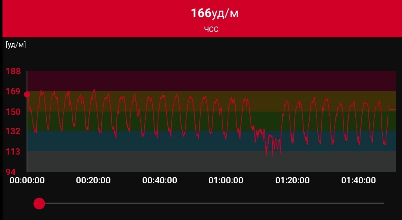 Crazy - My, Workout, Run, Cardio training, Coronavirus, Ultratrail, Video, Longpost