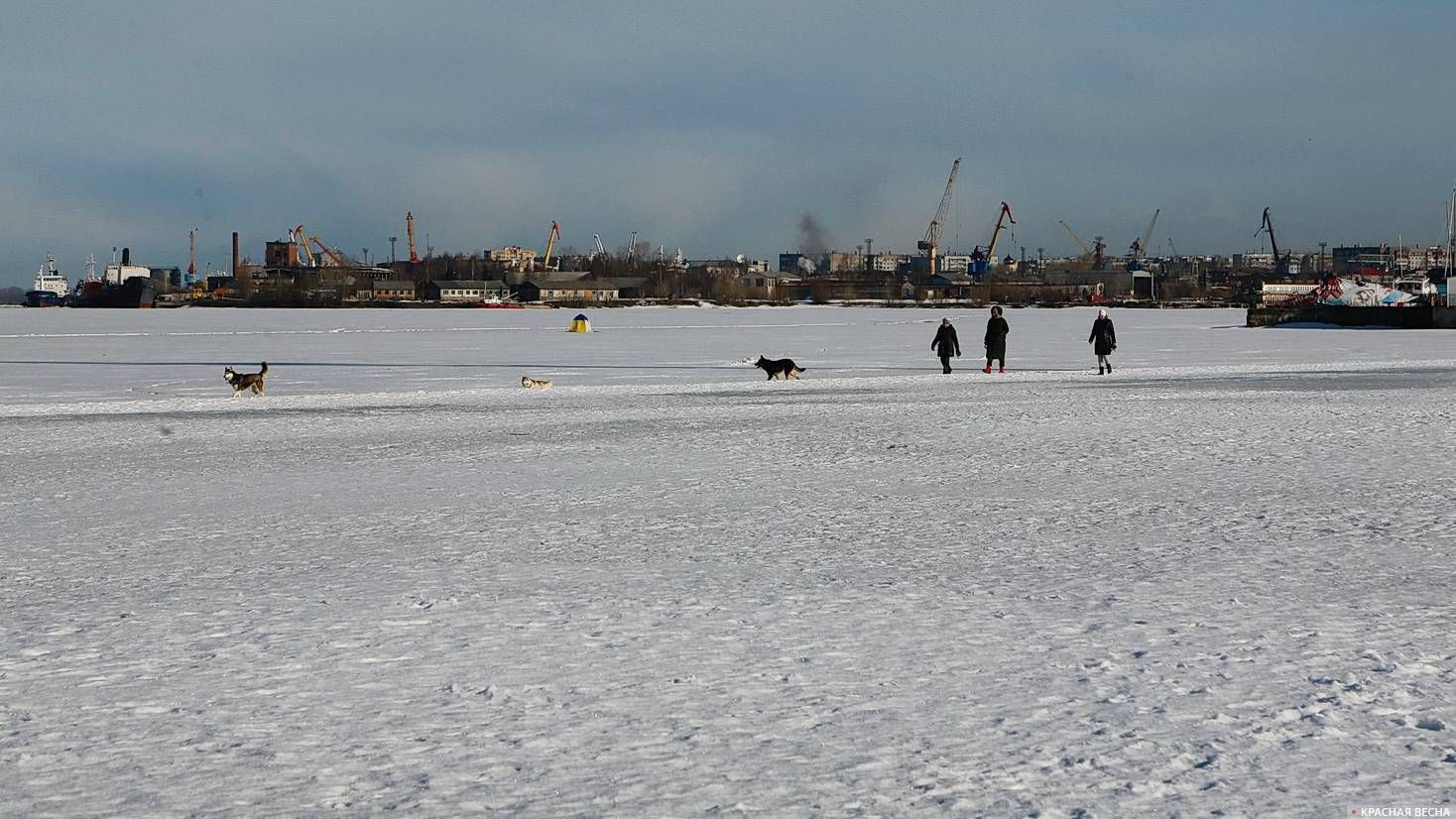 Arkhangelsk is in self-isolation. Photo report - Arkhangelsk, North, Coronavirus, Longpost