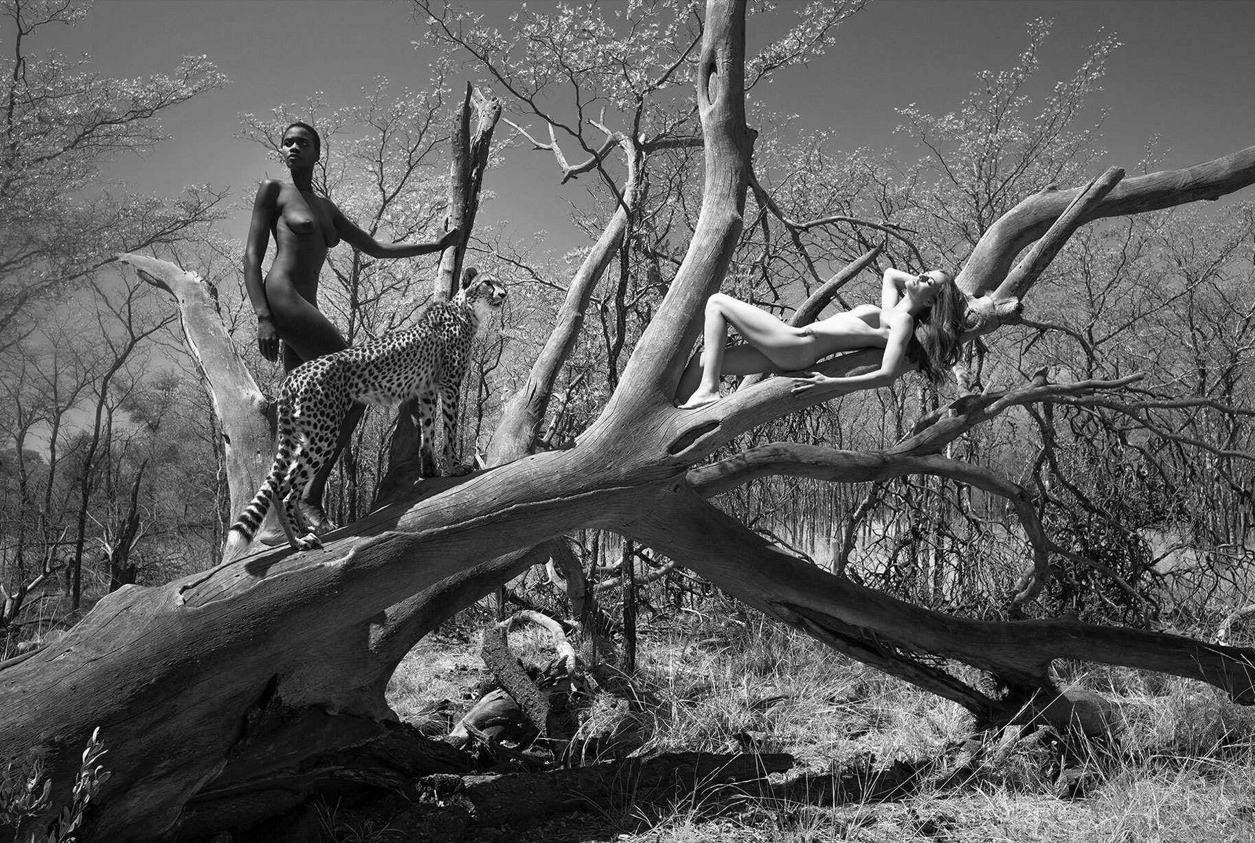 12 Natural Wonders Calendar - NSFW, The calendar, Beautiful girl, Longpost, Erotic, Black and white, Savannah