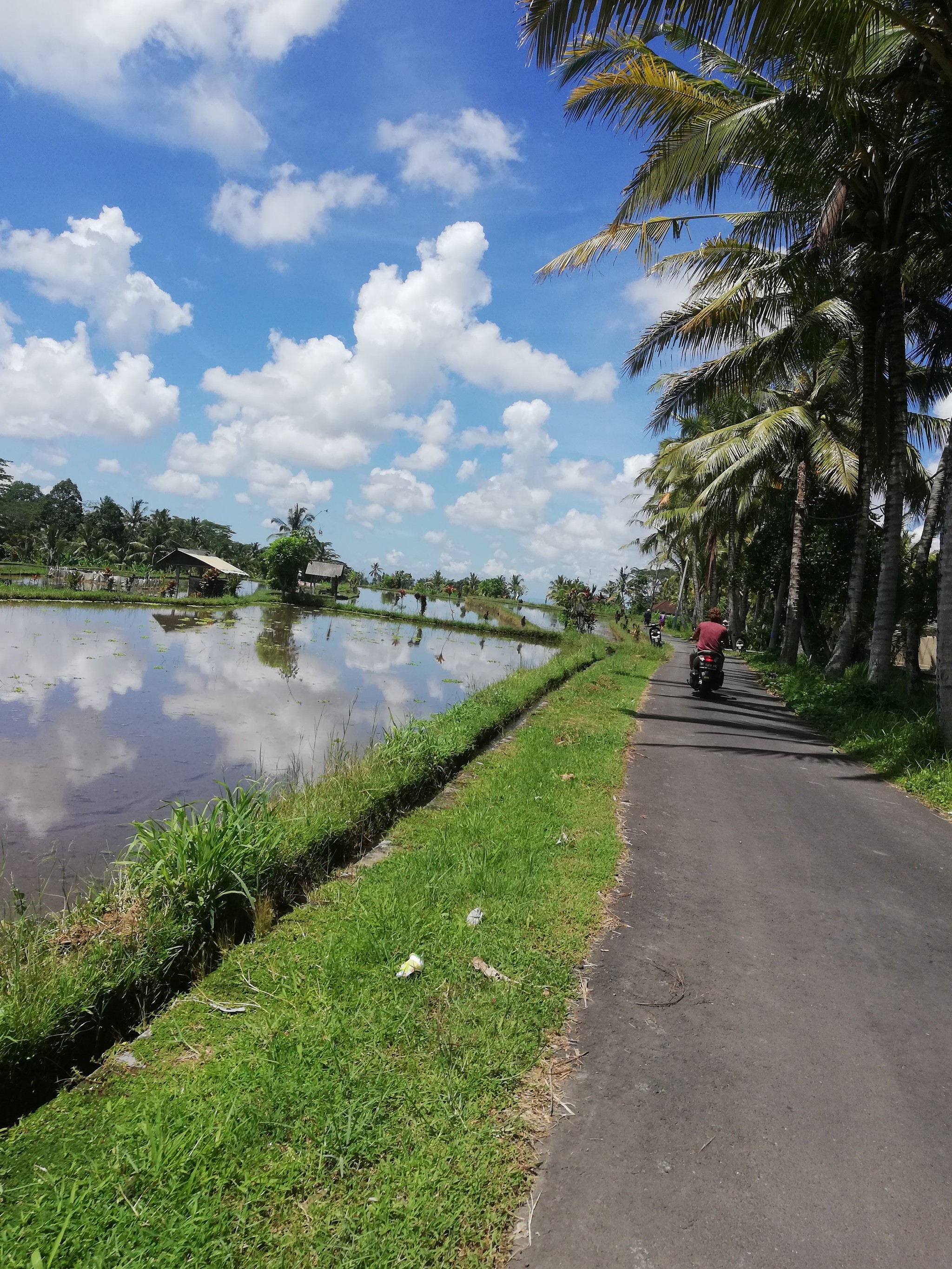 Bali. The look of a normal person - My, Mat, Travels, Bali, Longpost