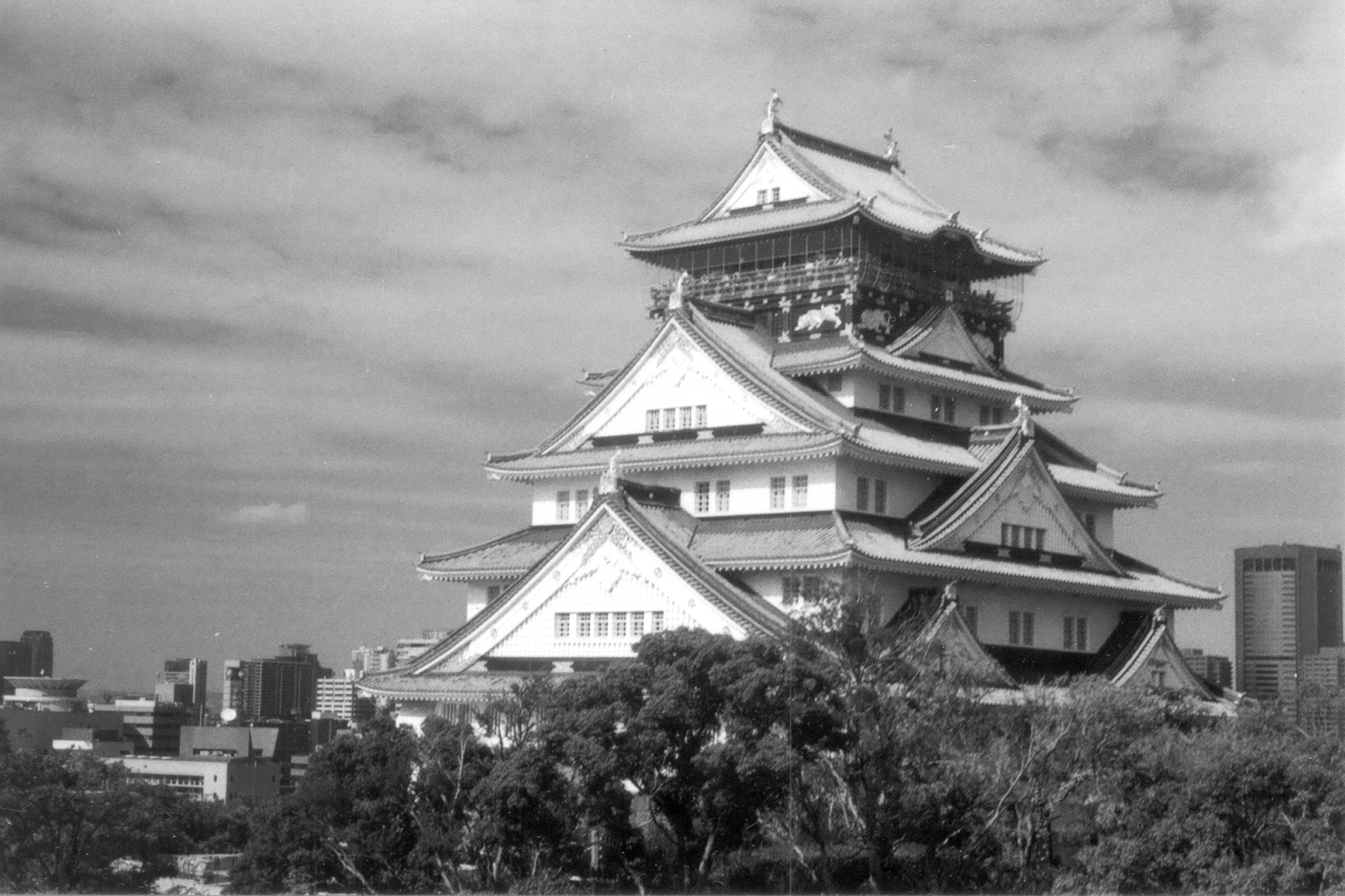 Castle, wheel, tower (Osaka, Japan) - My, Japan, Osaka, Lock, Ferris wheel, Tower, Панорама, Longpost